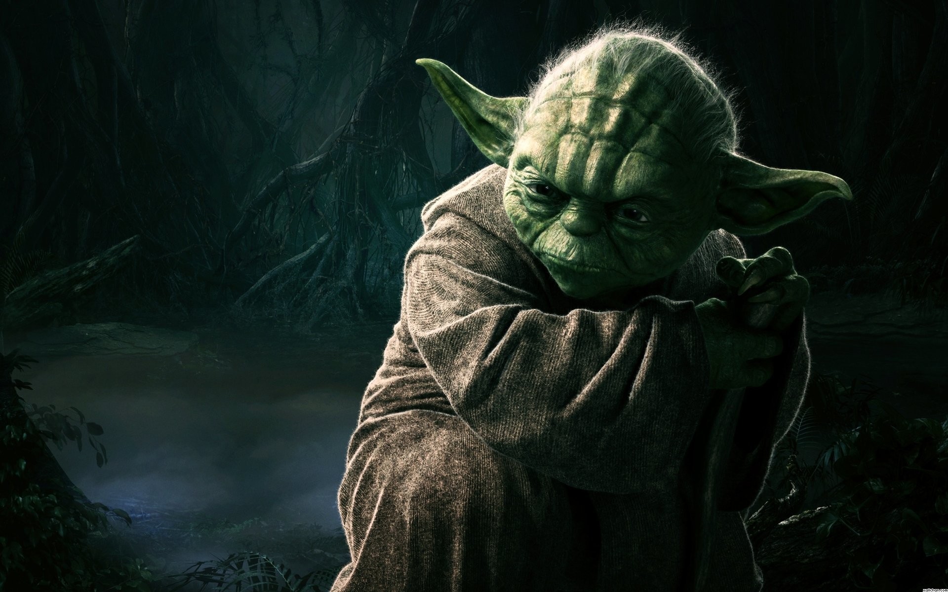 Yoda, Star Wars, Dagobah, Maestro Jedi, Palude, Full HD, wallpaper per portatile