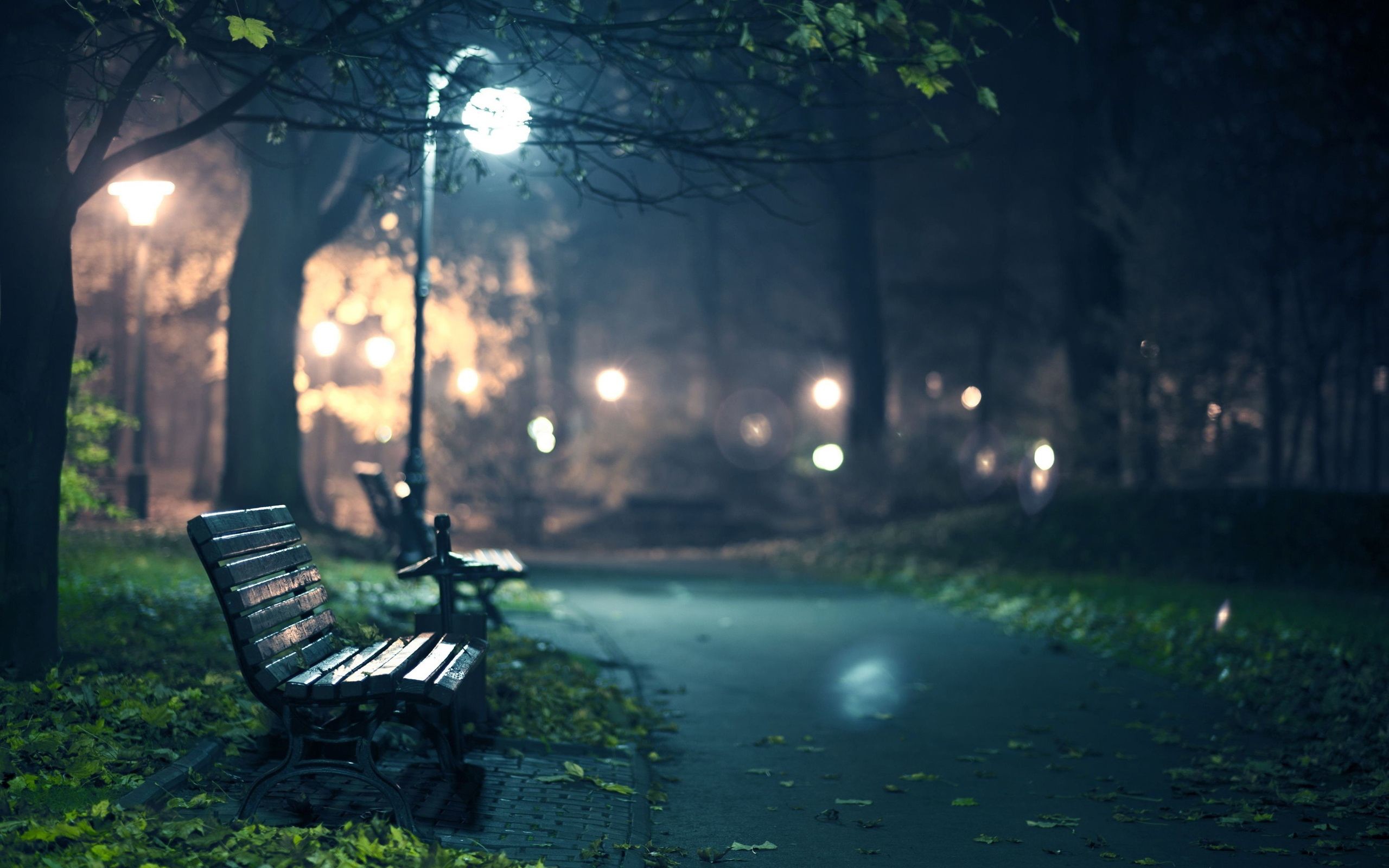 Parco, Panchina, Lampione, Notte, 2560x1600, immagine di sfondo
