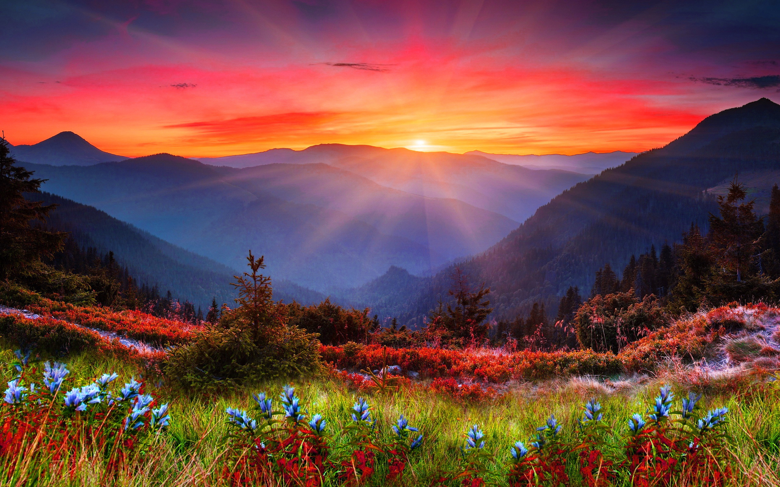 Valle montana, Fiori di campo, Raggi di sole, Tramonto, Montagne, sfondo desktop 2K