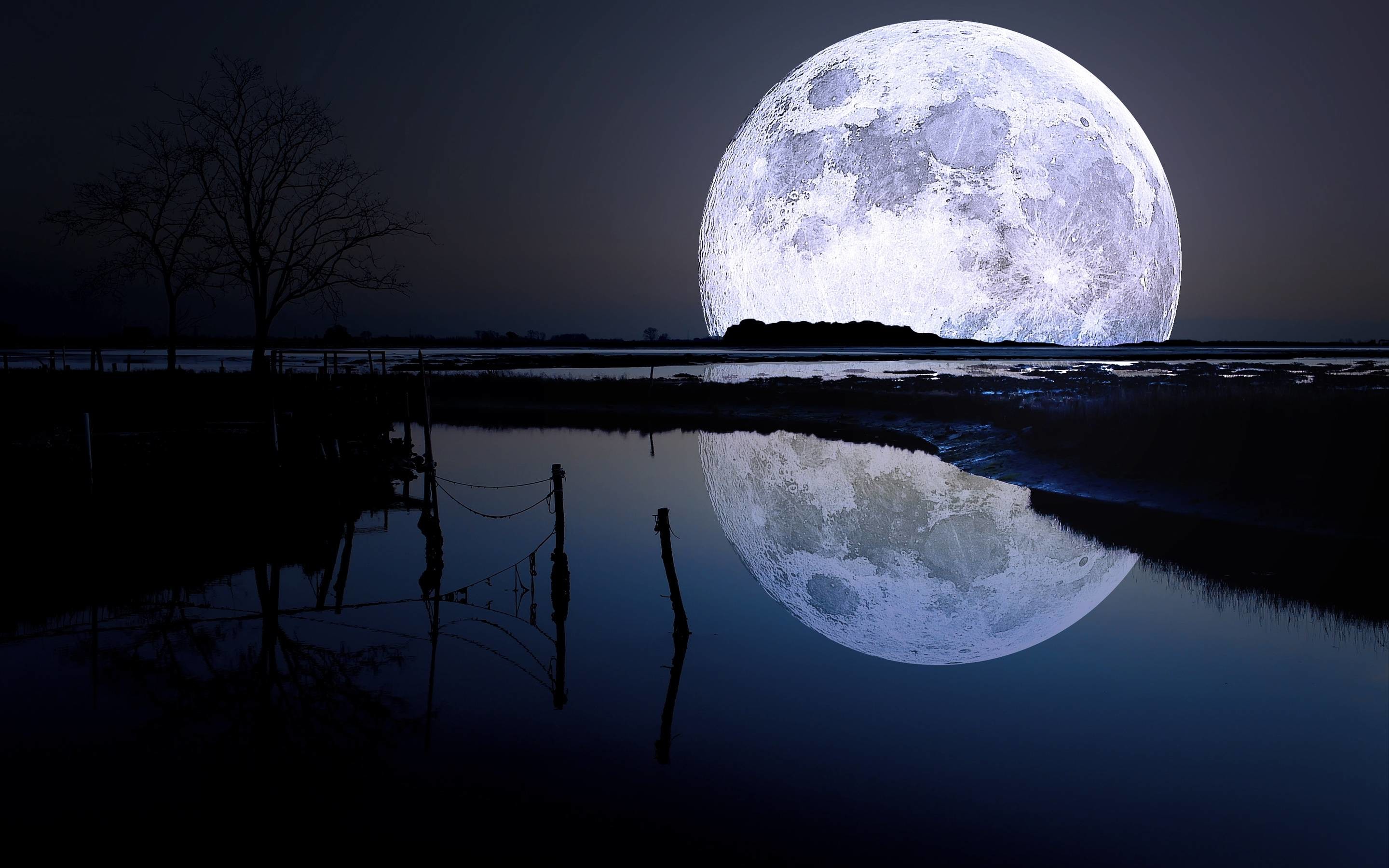 Luna piena, Lago, Riflesso, Notte, 2K, sfondo per PC