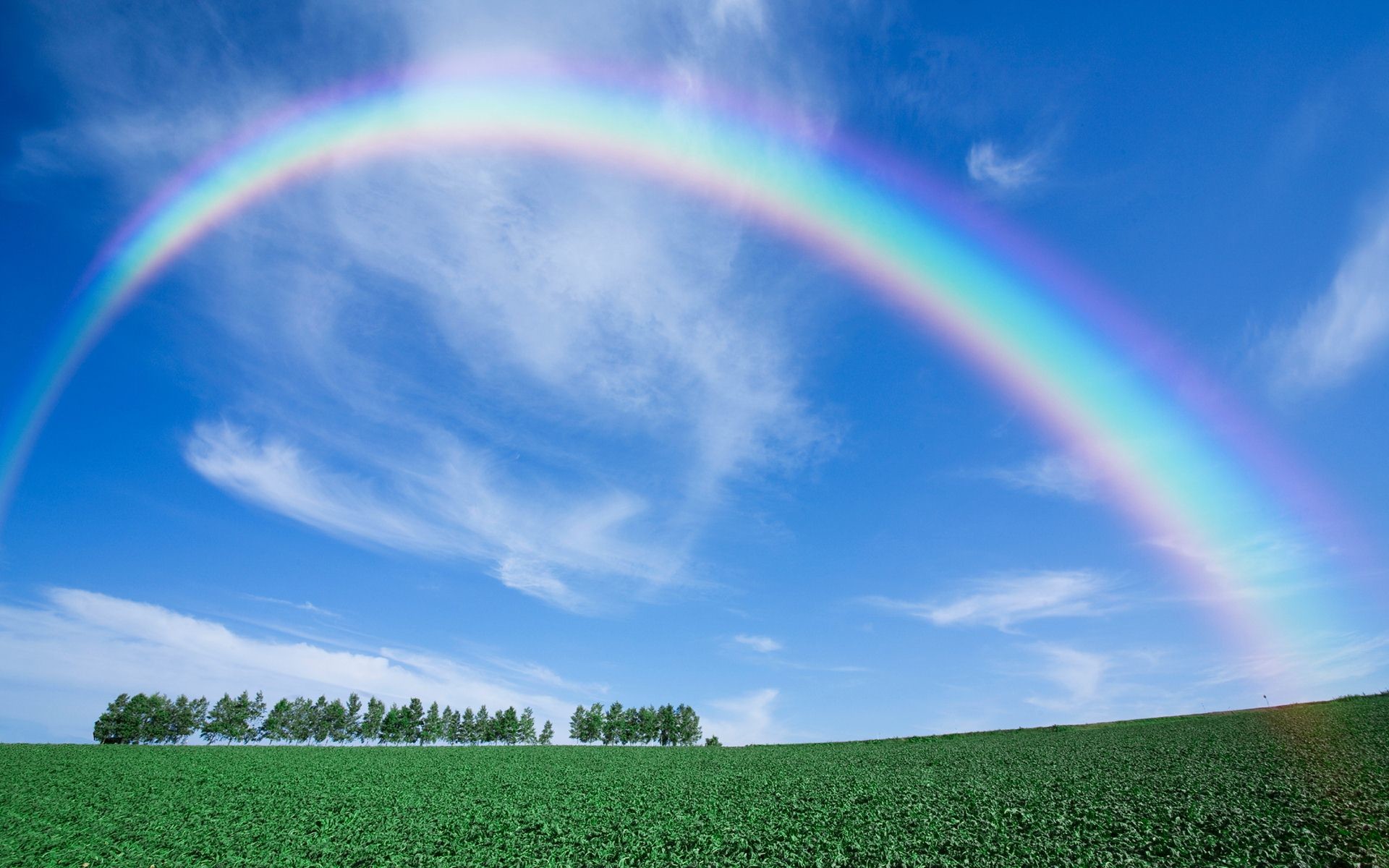 Arcobaleno, Cielo azzurro, Prato, Nuvole, 16:10 Full HD, sfondo widescreen