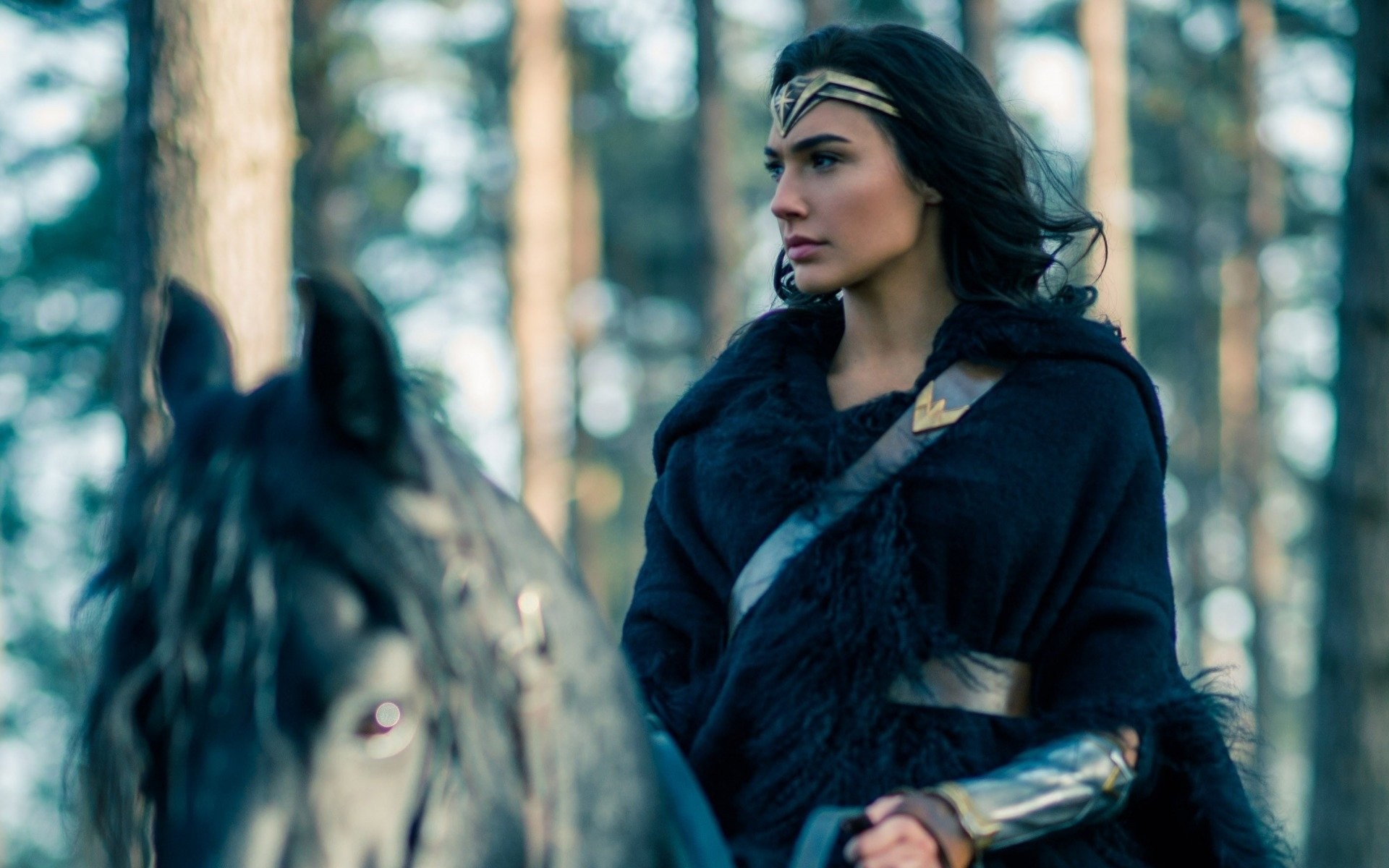 Gal Gadot, Wonder Woman, Cavallo, Bosco, 16:10 Full HD, sfondo widescreen