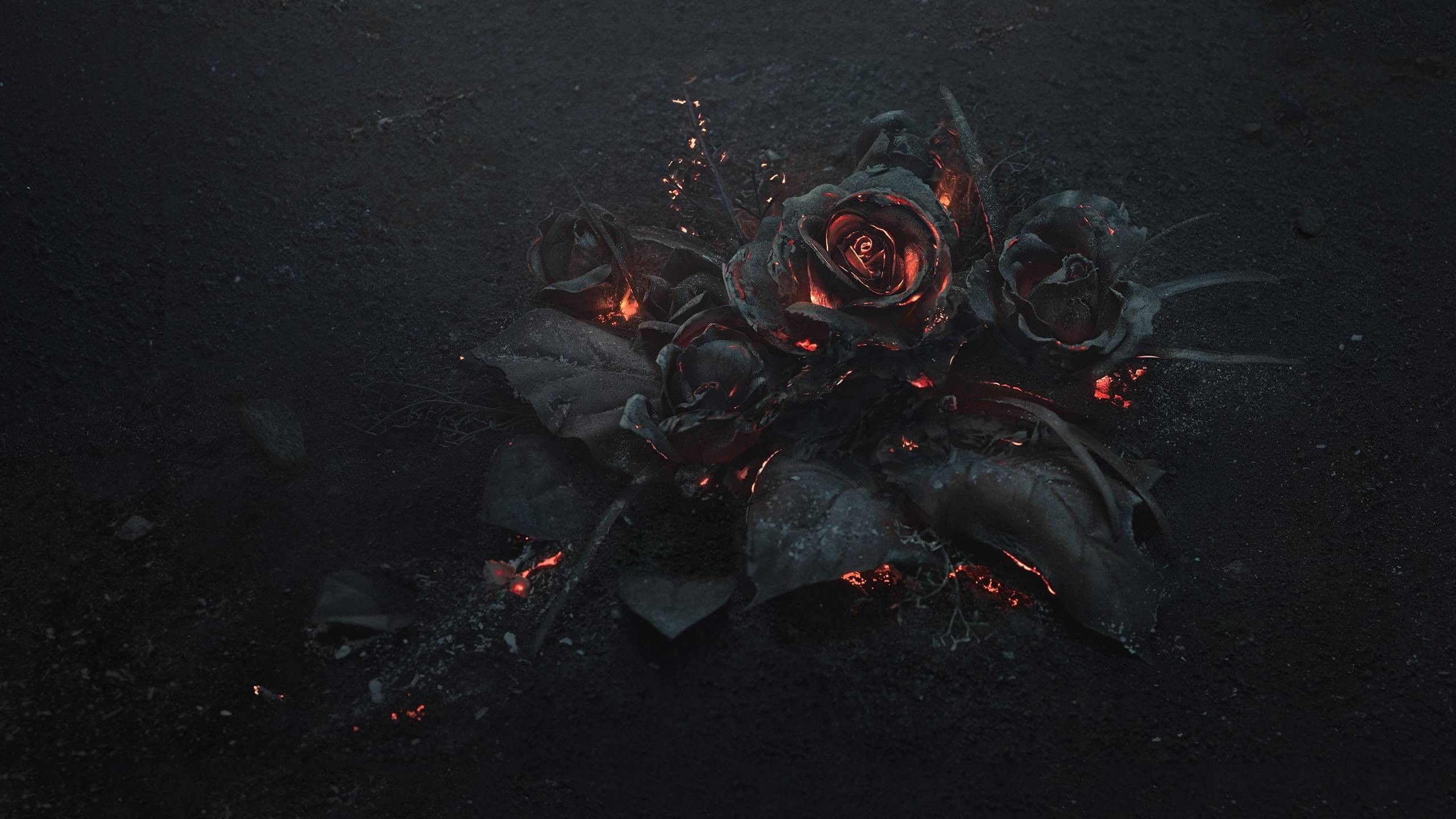 Rose nere, Braci, Fuoco, Arte dark, 2560x1440, immagine di sfondo