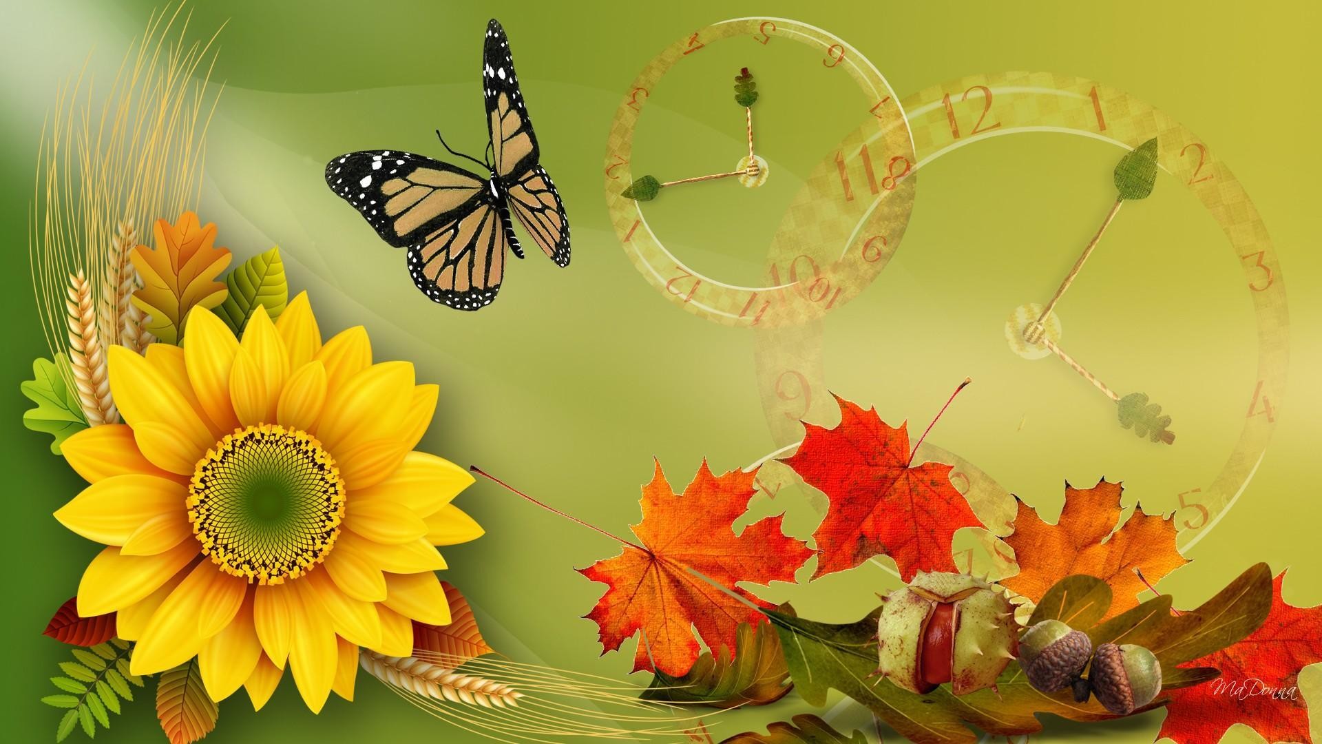 Girasole, Farfalla, Orologi, Foglie d'acero, Illustrazione, Full HD, sfondo per desktop
