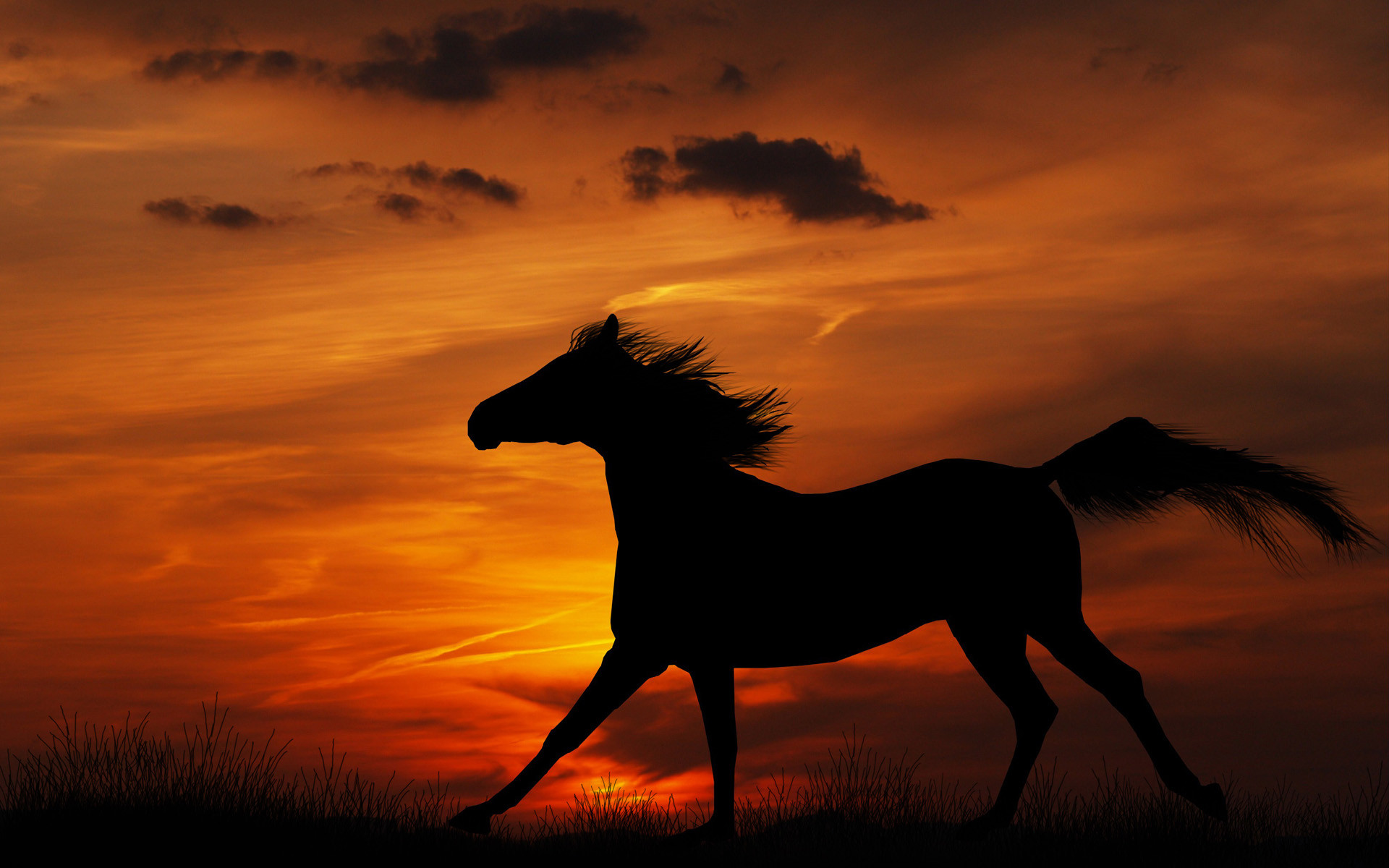 Cavallo, Silhouette, Tramonto, Cielo rosso, Full HD, sfondo desktop