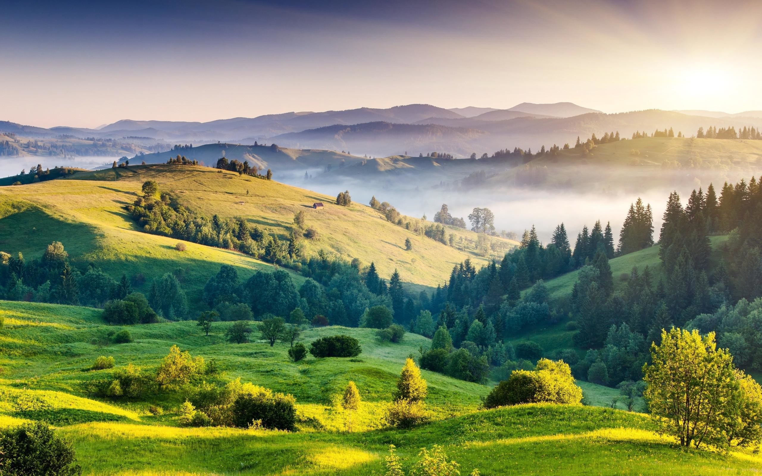 Colline, Prati, Alba, Nebbia, 2560x1600, wallpaper desktop