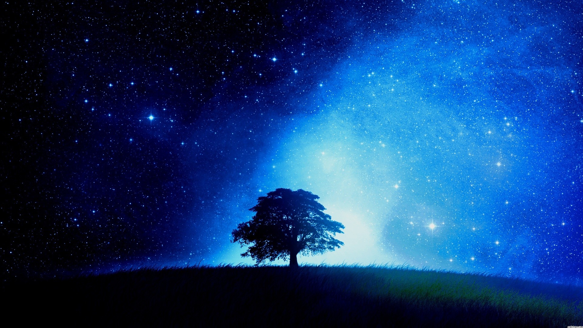 Albero solitario, Cielo stellato, Notte, Blu, Full HD, wallpaper desktop