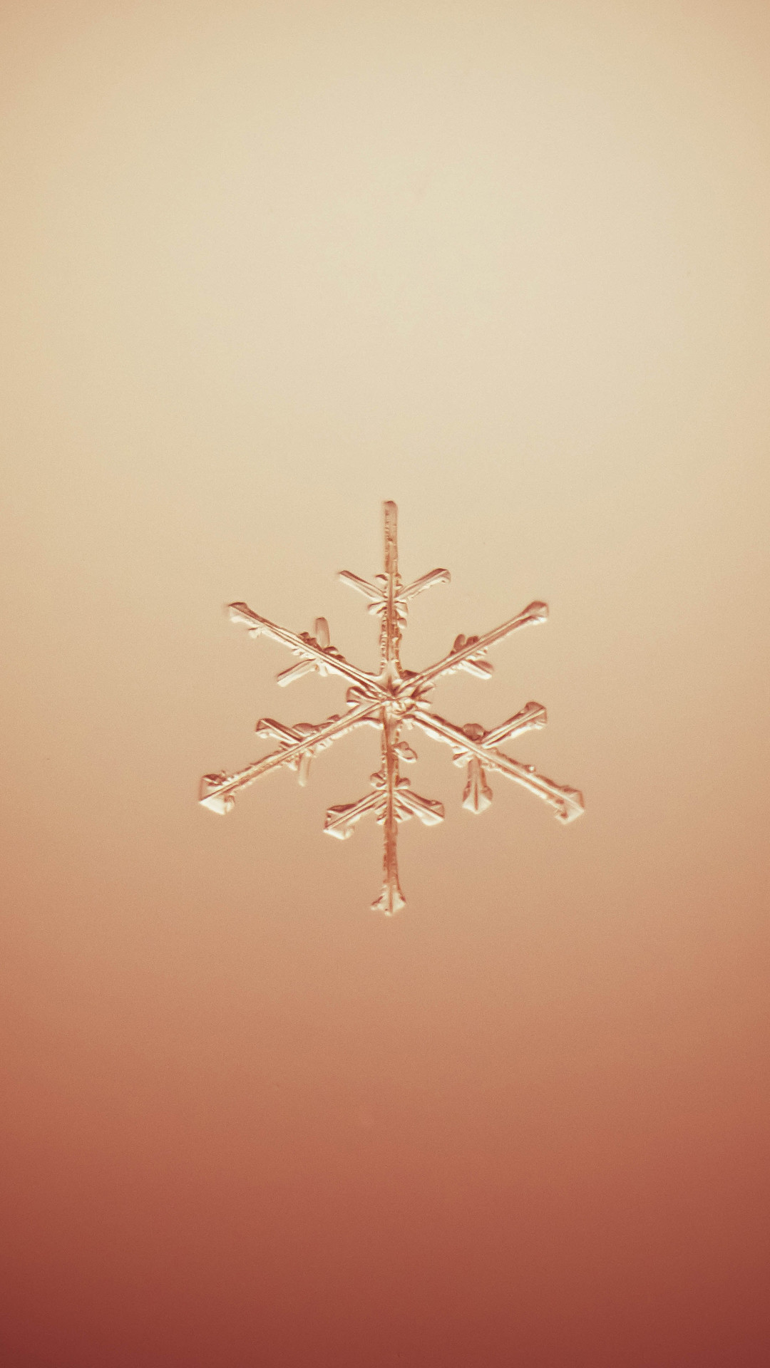 Fiocco di neve, Beige, Minimalista, sfondo per smartphone