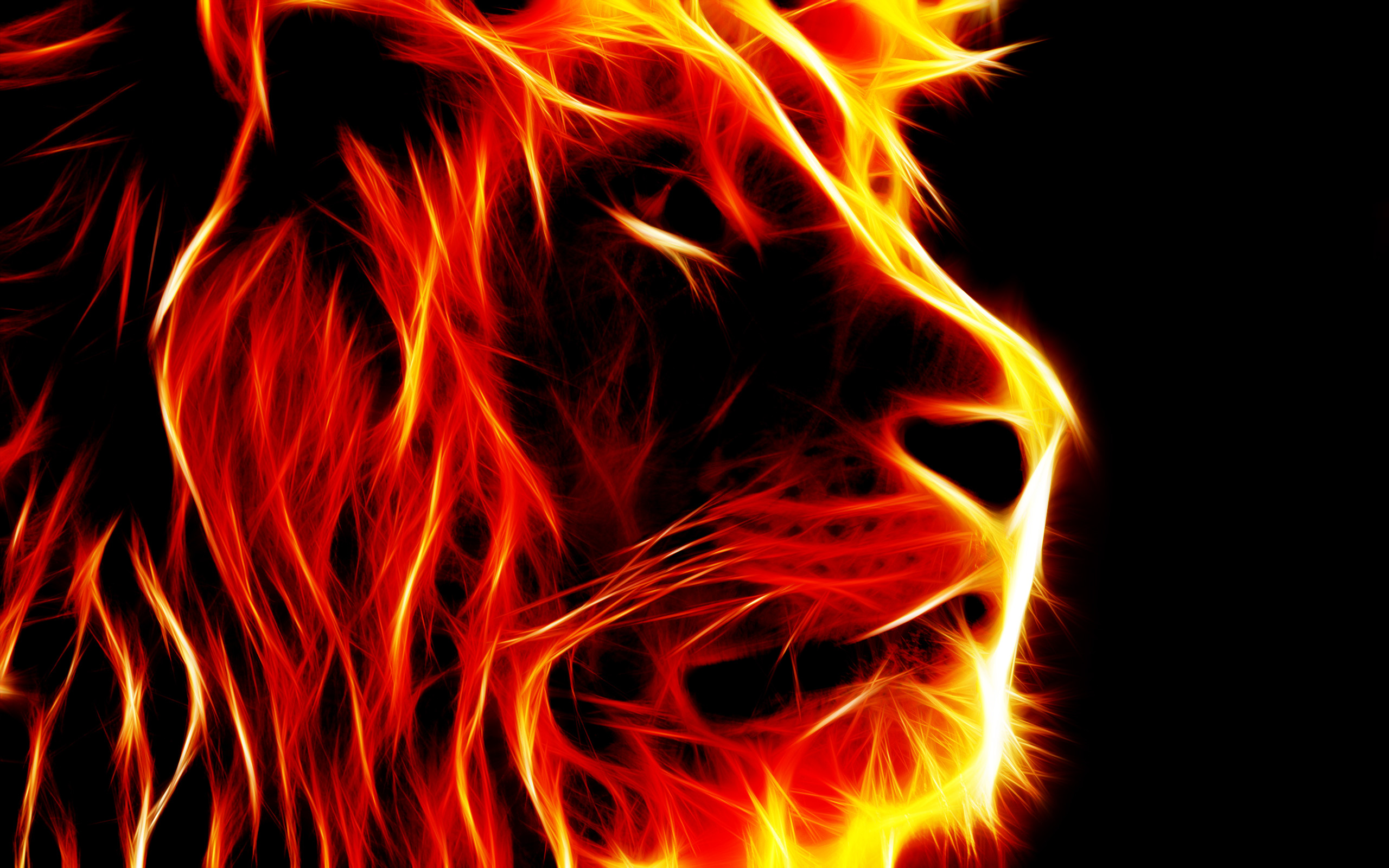 Leone di fuoco, Leone, Fiamme, Arte digitale, 2K 1600p, sfondo desktop