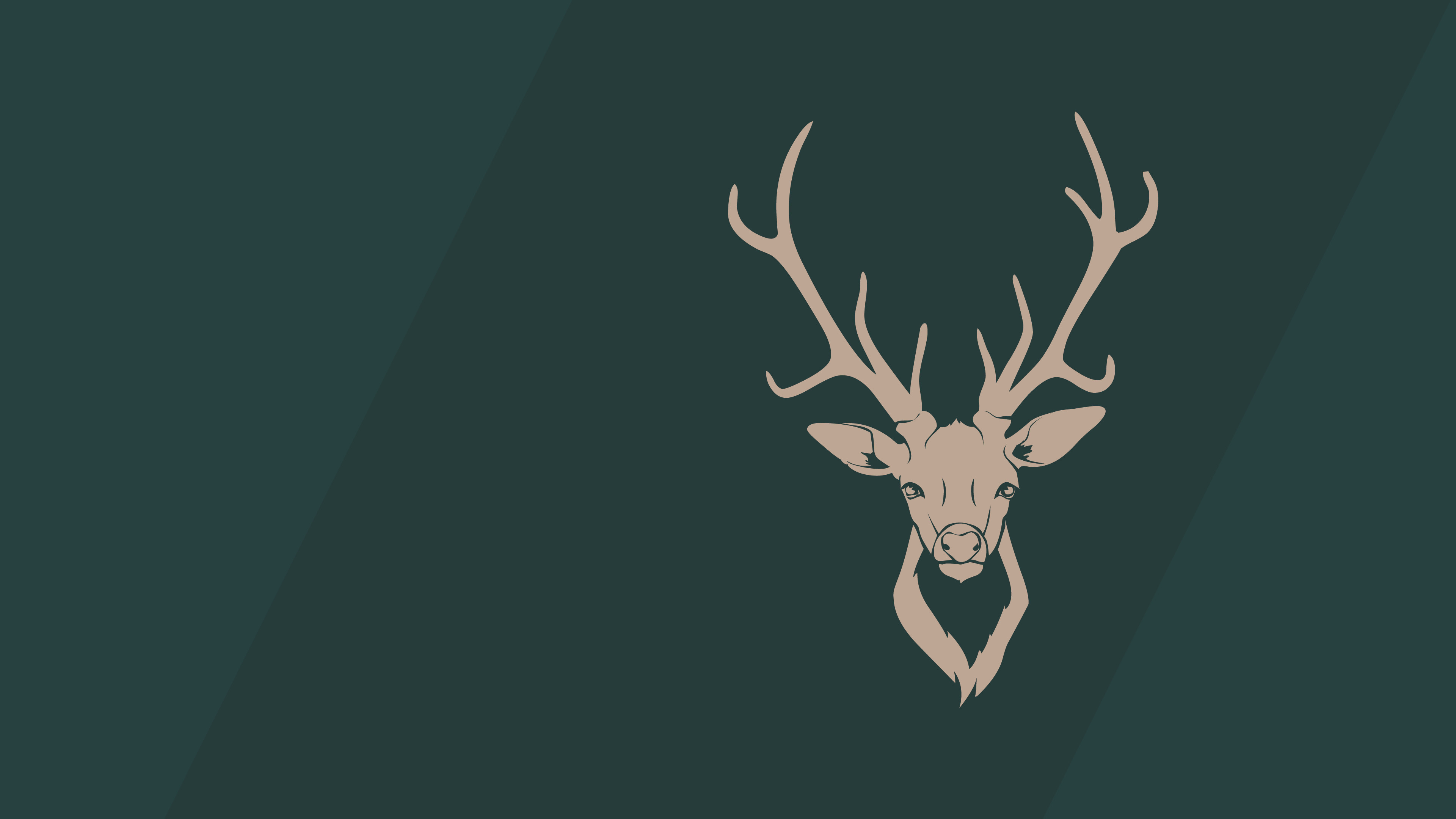 Cervo, Corna, Sfondo verde, Minimal, 16:9 4K, wallpaper widescreen
