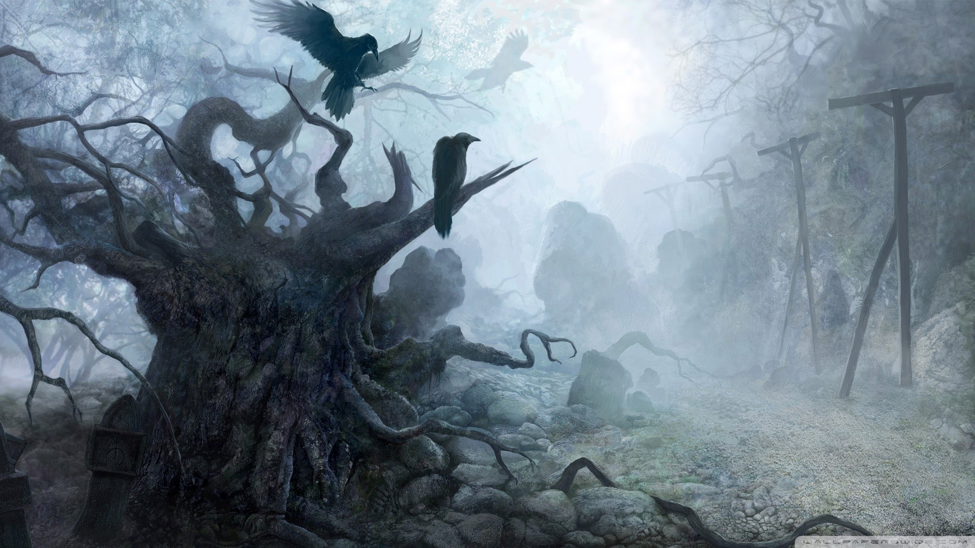 Albero contorto, Corvi, Nebbia, Palude, The Witcher, 16:9 Full HD, wallpaper widescreen