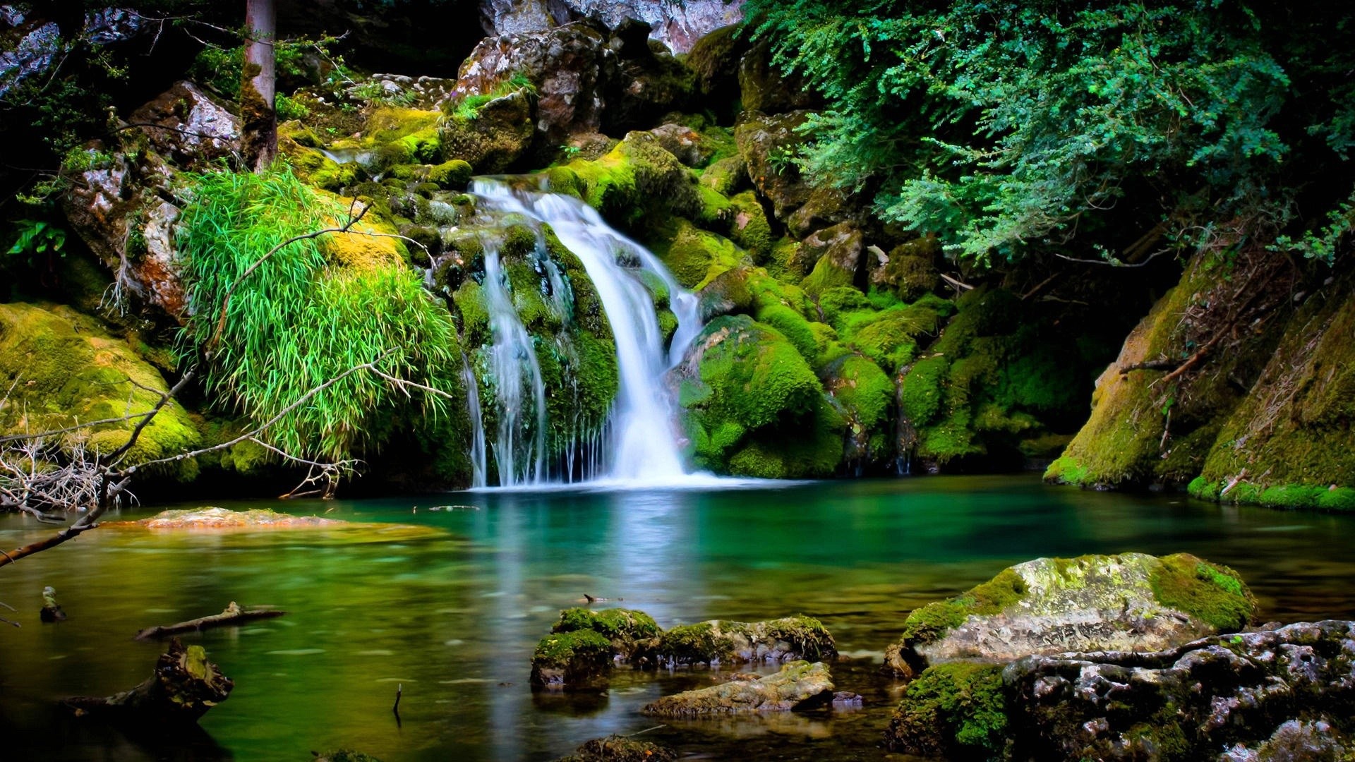 Cascata, Muschio, Laghetto, Foresta, 16:9 Full HD, sfondo widescreen