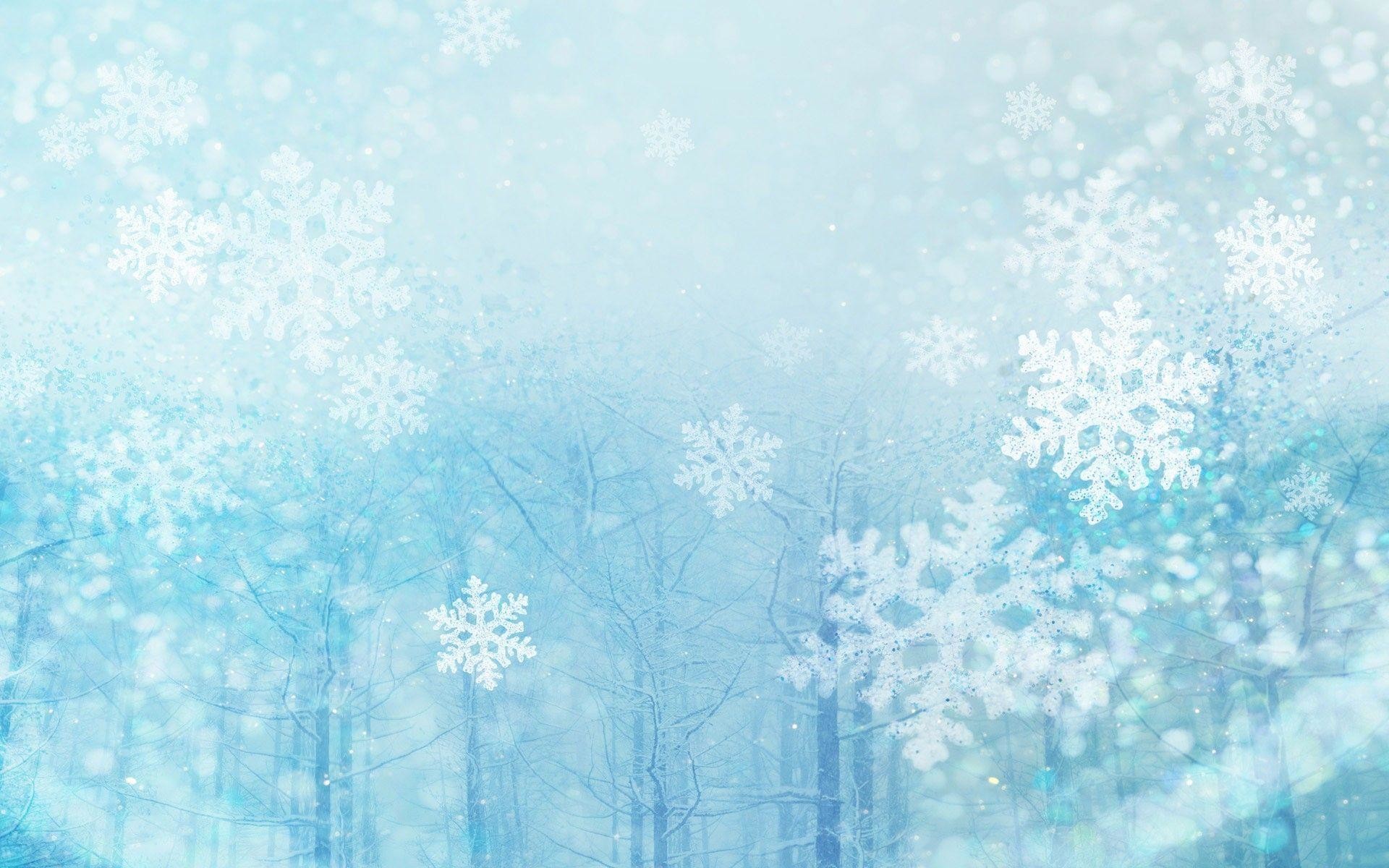 Fiocchi di neve, Bosco invernale, Azzurro, 1920x1200, sfondo MacBook Pro