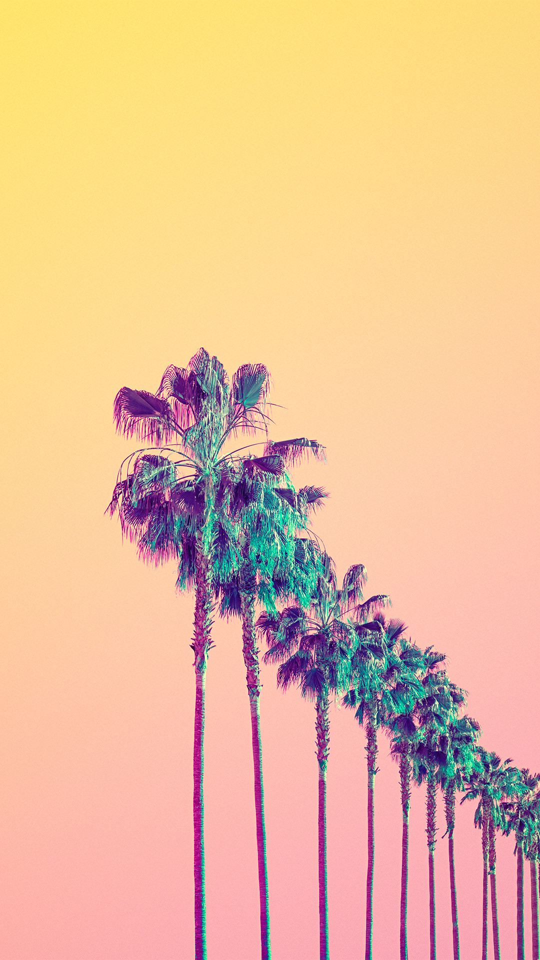 Palme, Cielo pesca, Pastello, Estate, 1080x1920, schermata di blocco iPhone