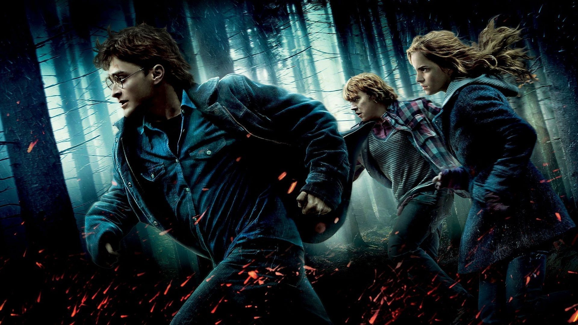 Harry Potter, Ron Weasley, Hermione Granger, Harry Potter e i Doni della Morte, Foresta, sfondo per PC