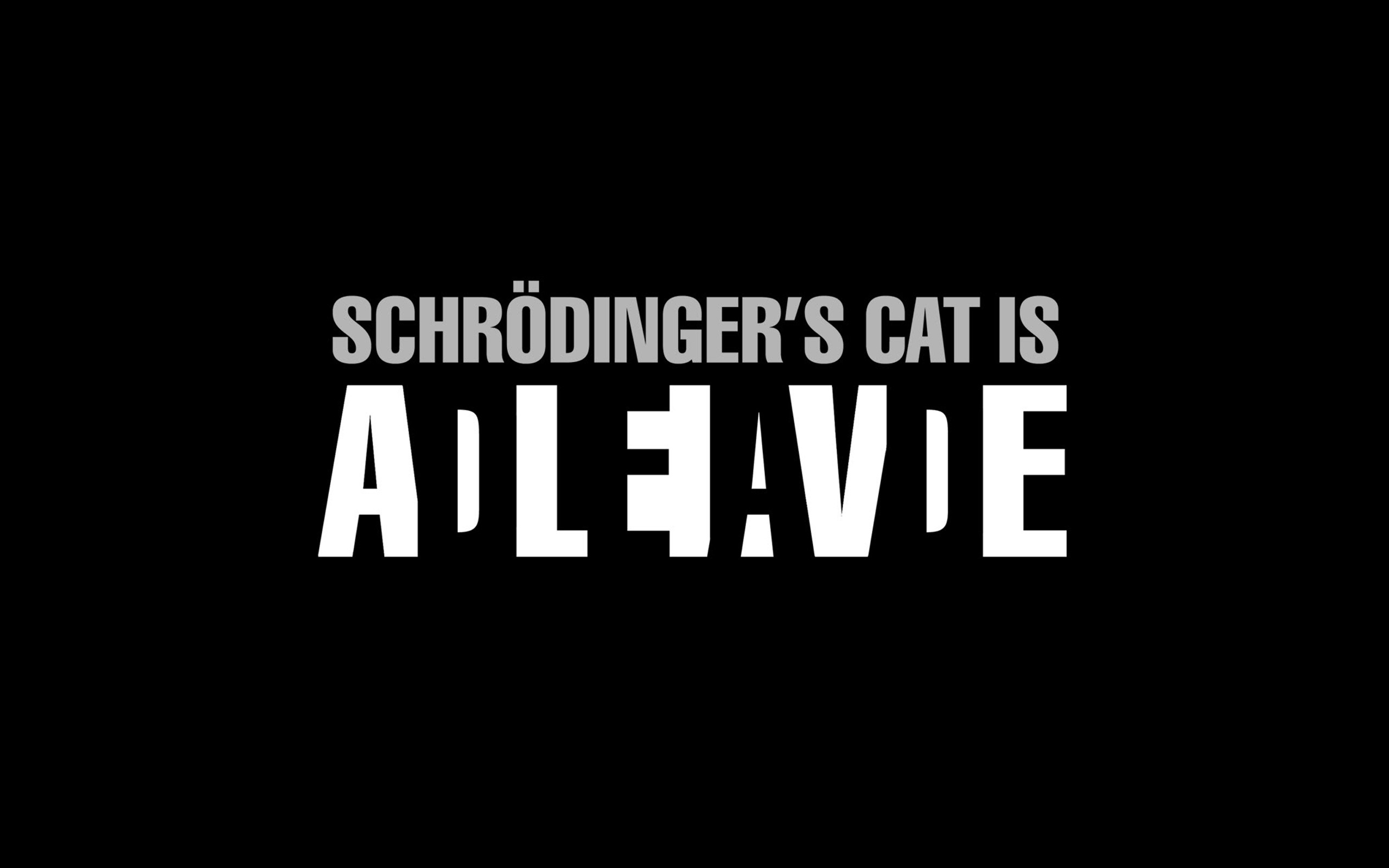 Gatto di Schrödinger, Vivo e morto, Tipografia, Sfondo nero, 16:10 2K, wallpaper widescreen