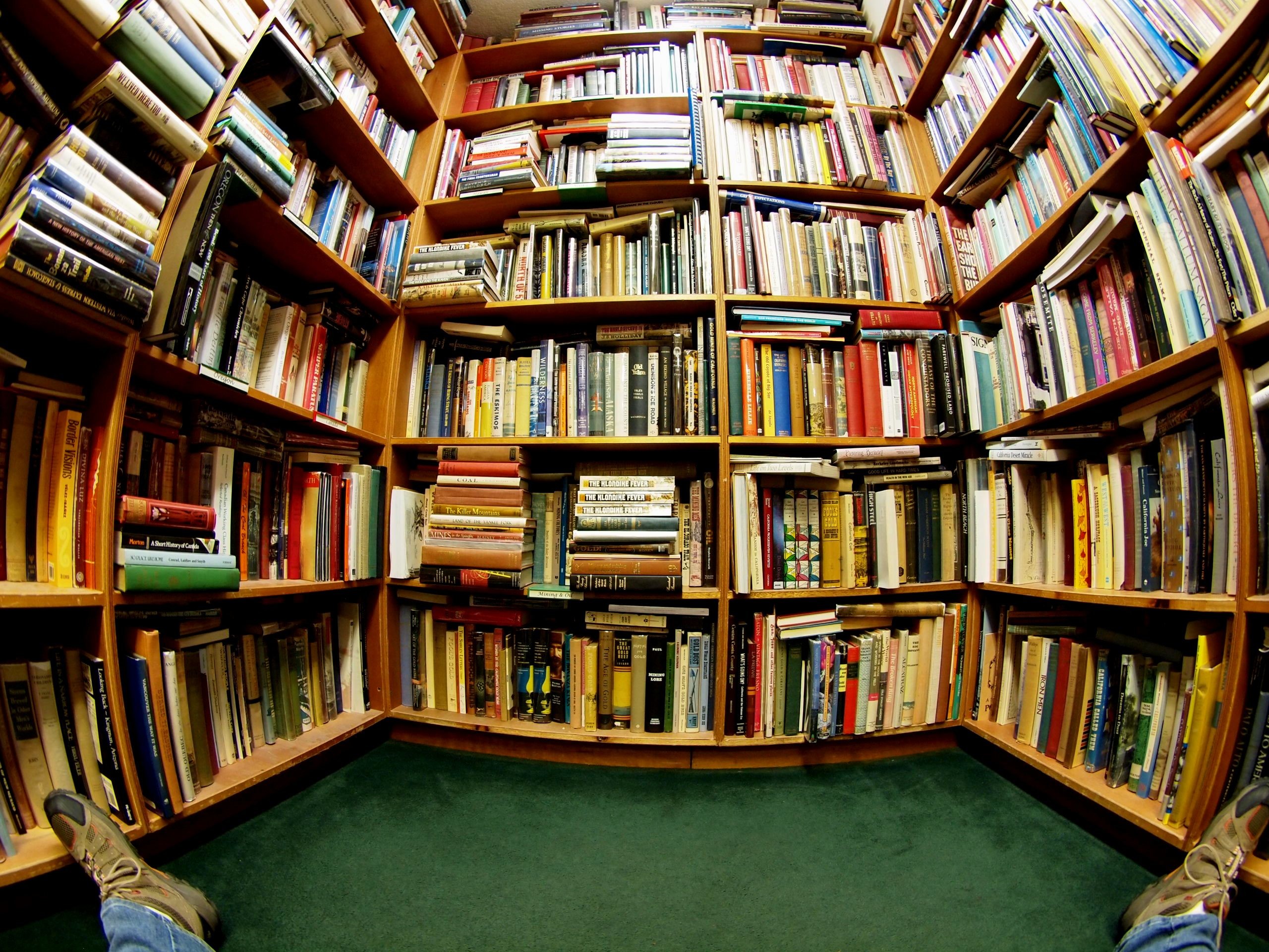 Biblioteca, Grandangolo, Scaffali, Libri colorati, 2K, sfondo per iPad e tablet