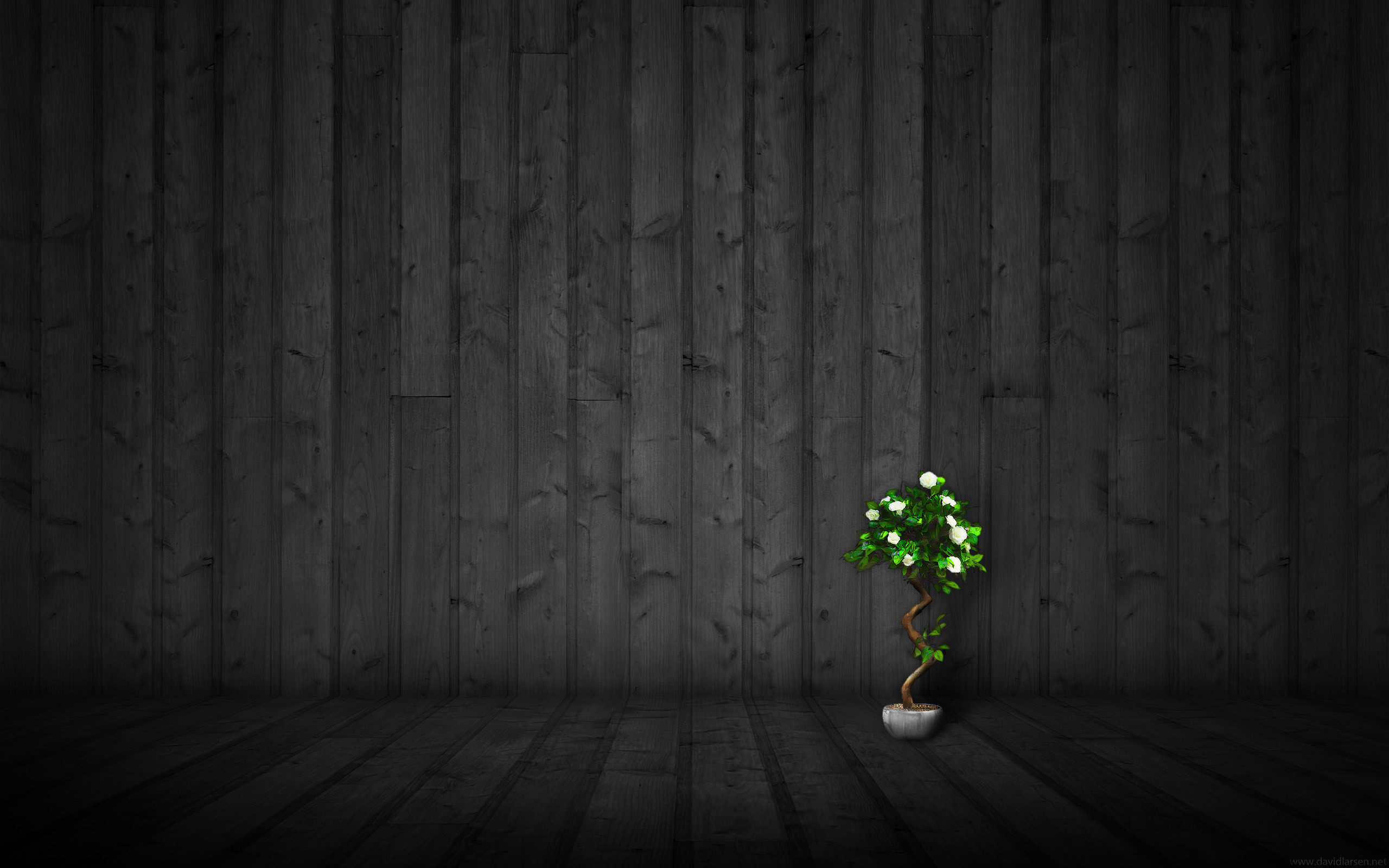 Bonsai, Stanza di legno, Minimalismo, 2K, sfondo Windows 11