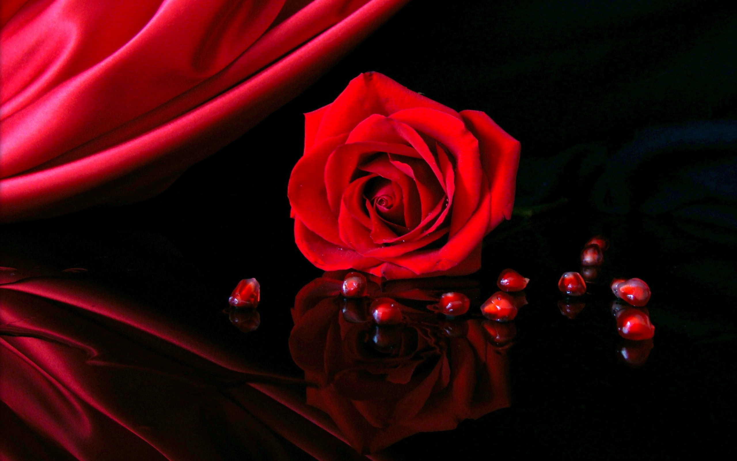 Rosa rossa, Seta rossa, Sfondo nero, Romantico, 16:10 2K, wallpaper widescreen