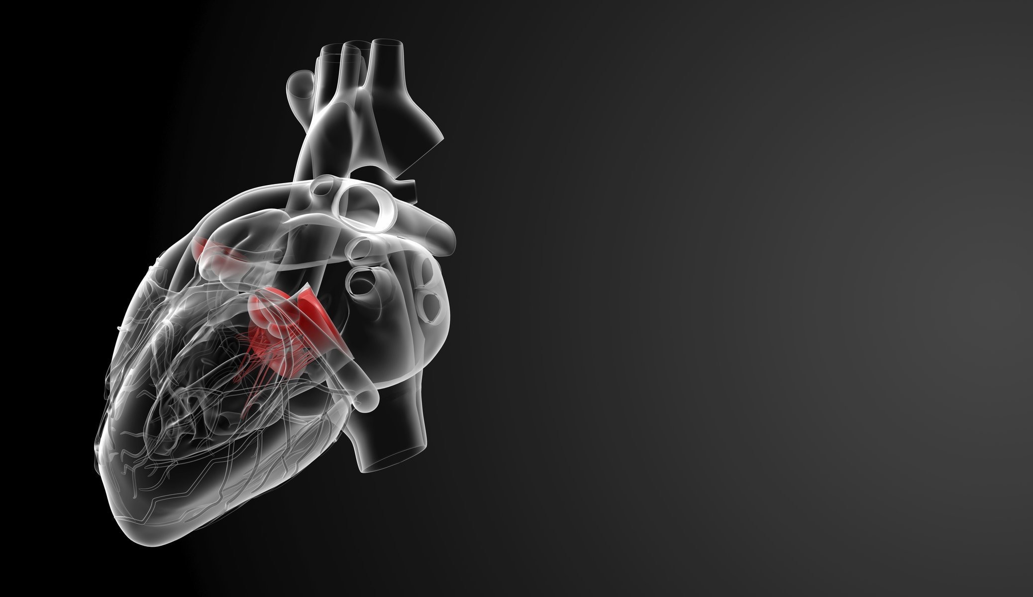 Cuore umano, Raggi X, Anatomia, 3D, Sfondo nero, Full HD, wallpaper per portatile