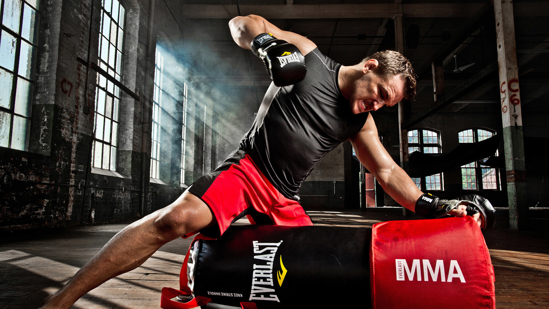 Everlast, MMA, Allenamento, Sacco da boxe, 1920x1080, immagine di sfondo