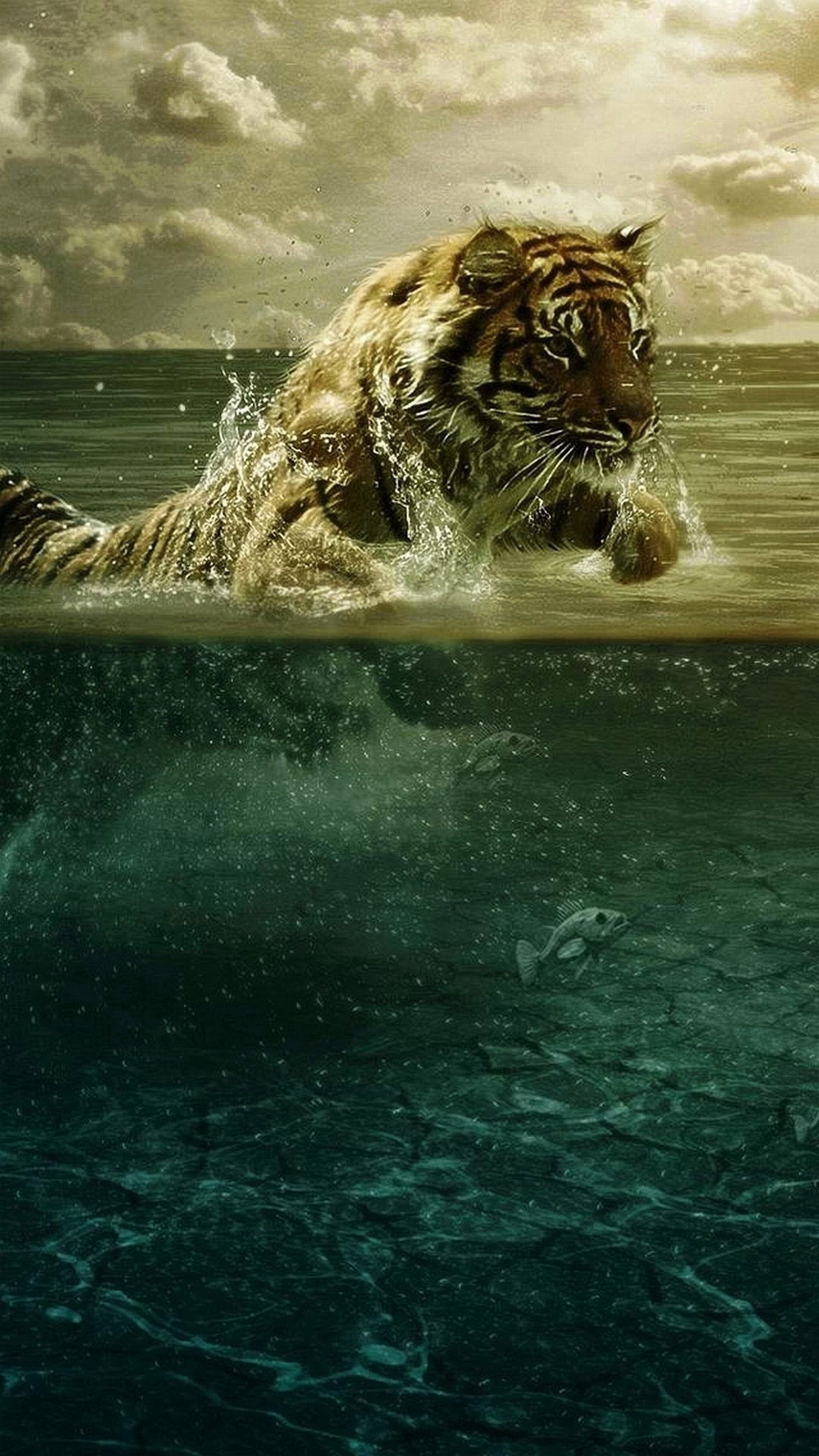 Tigre, Acqua, Salto, Fotomanipolazione, QHD+, sfondo per iPhone e Android
