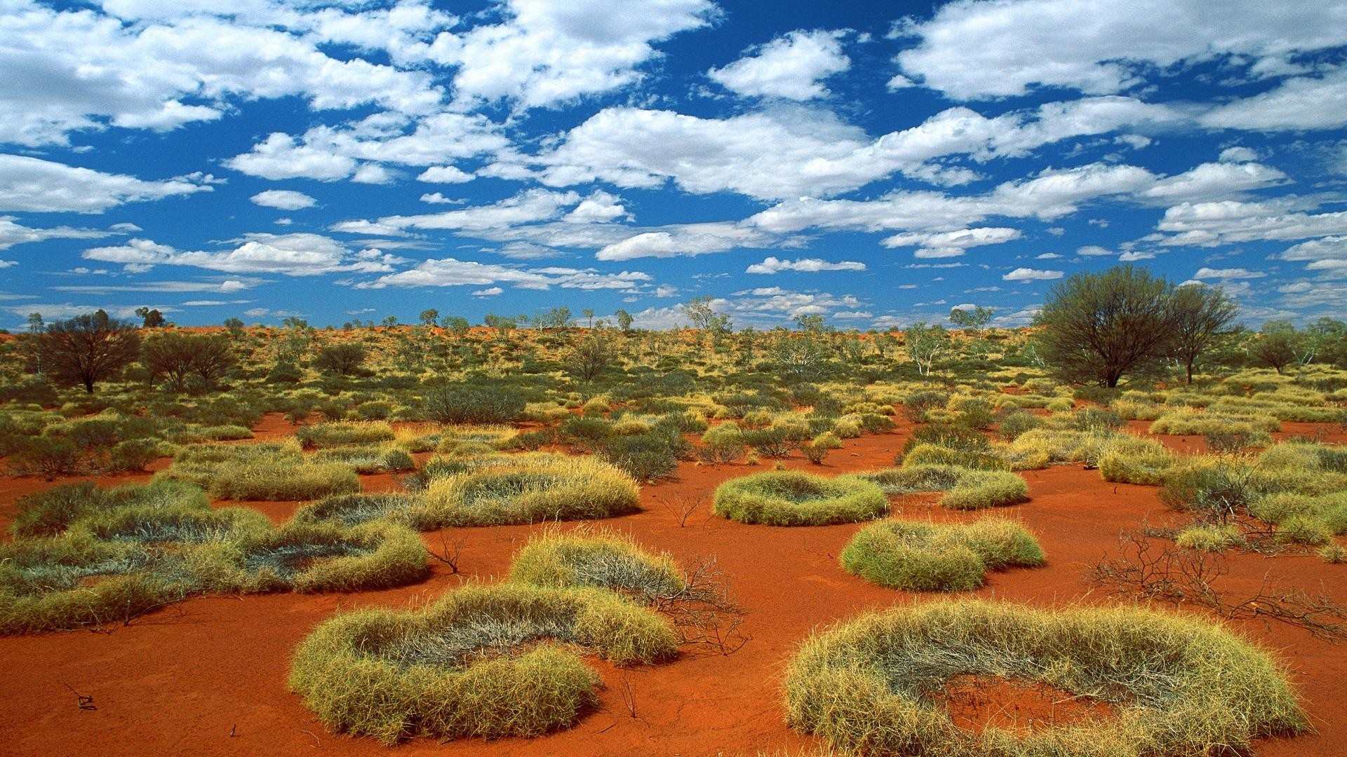 Outback, Australia, Terra rossa, Spinifex, Nuvole, Full HD, sfondo desktop