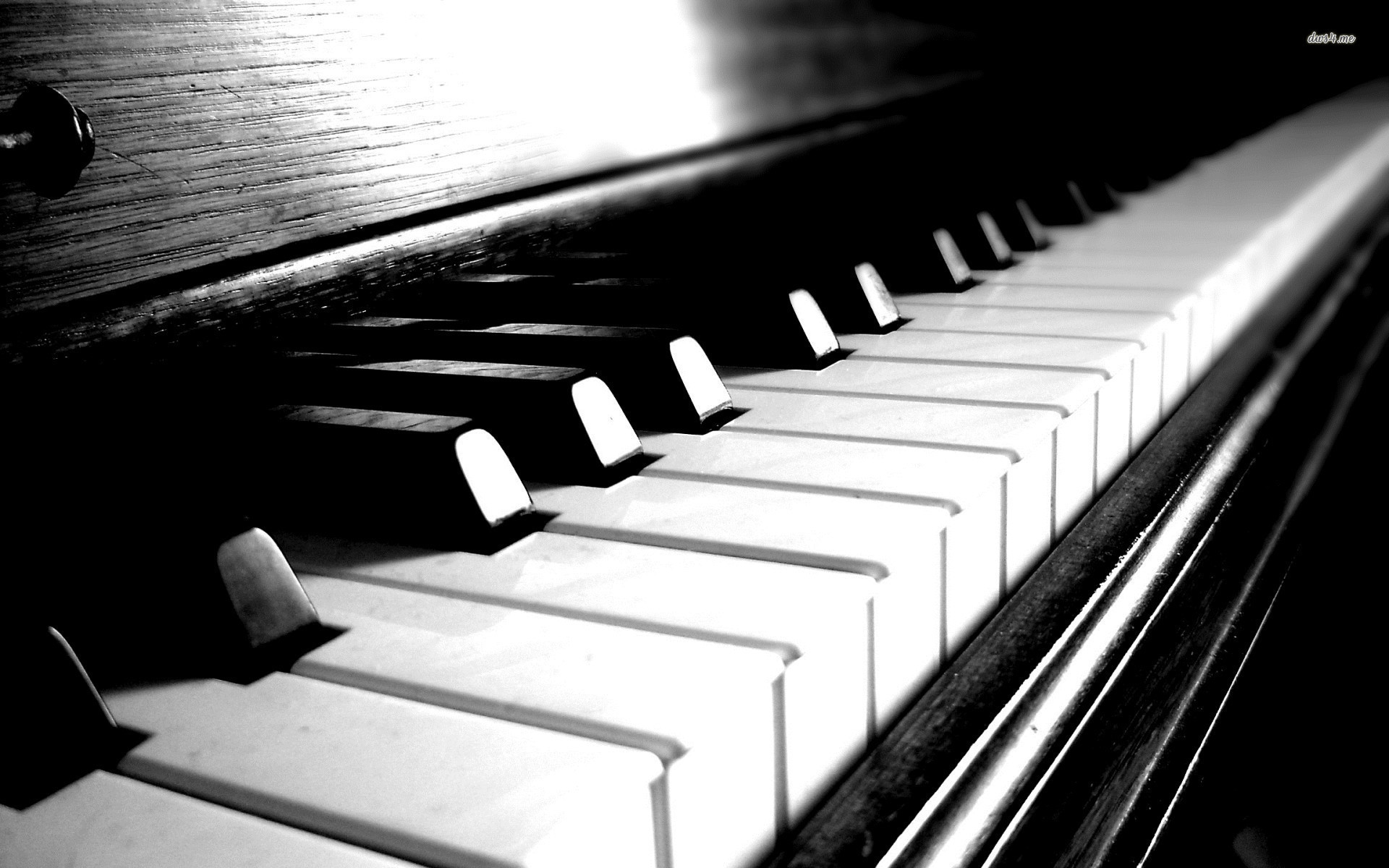 Tasti del pianoforte, Bianco e nero, Contrasto, 1920x1200, wallpaper desktop