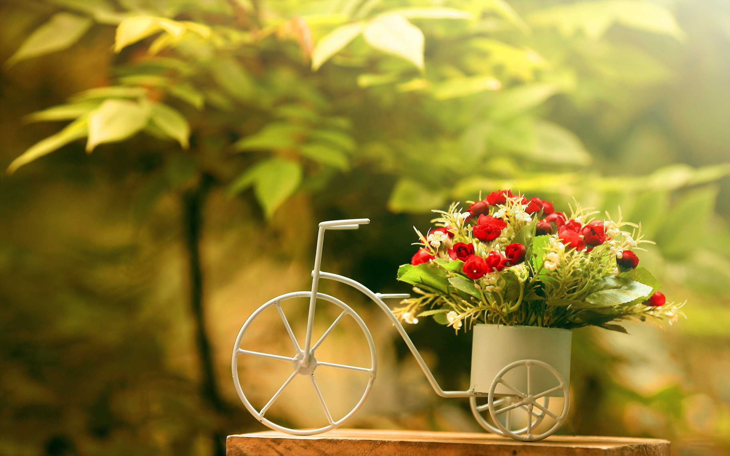 Bicicletta decorativa, Fiori rossi, Cesto, Foglie, Bokeh, 2K, sfondo per PC e portatile