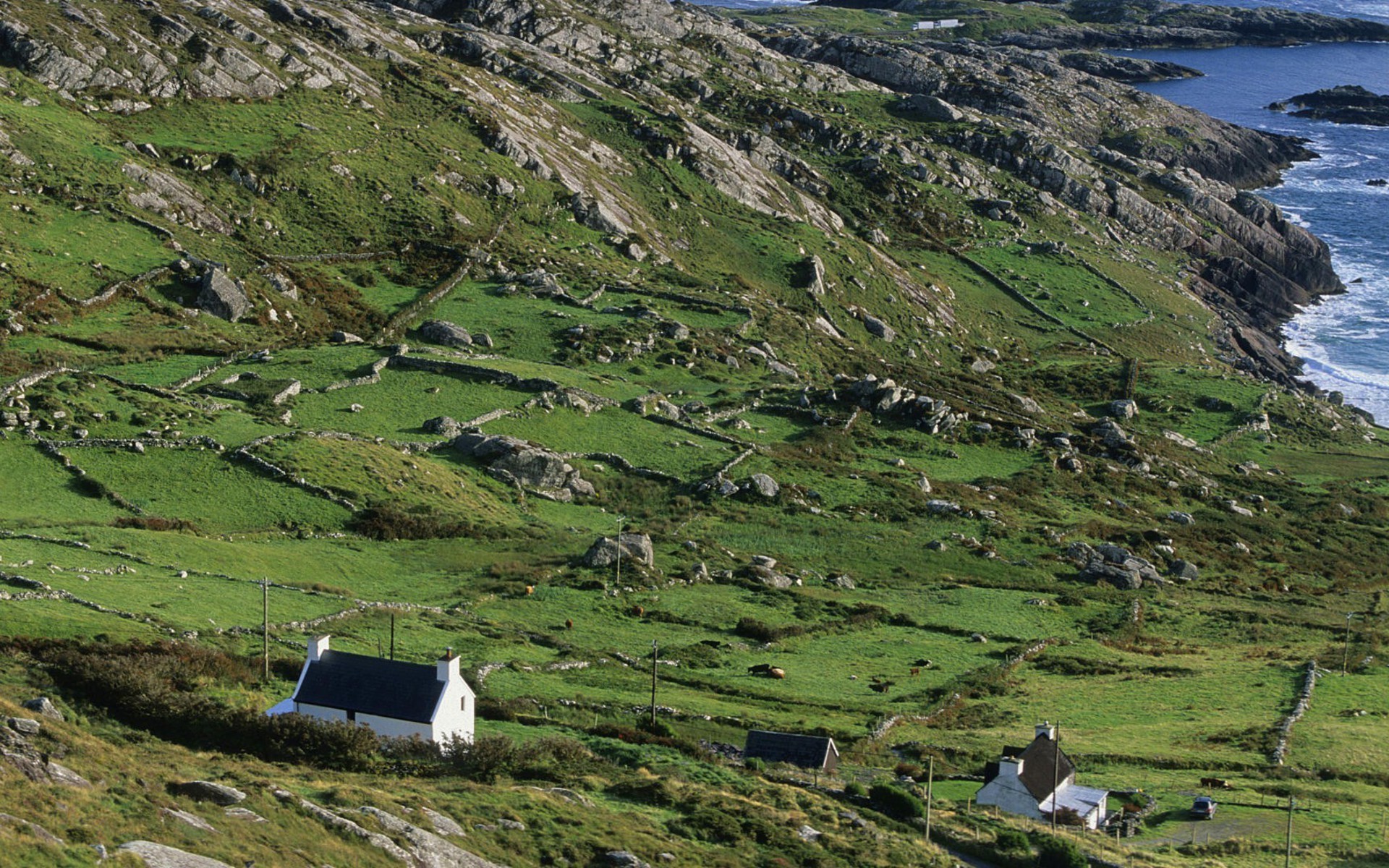 Irlanda, Cottage, Campi verdi, Costa, 1920x1200, wallpaper desktop