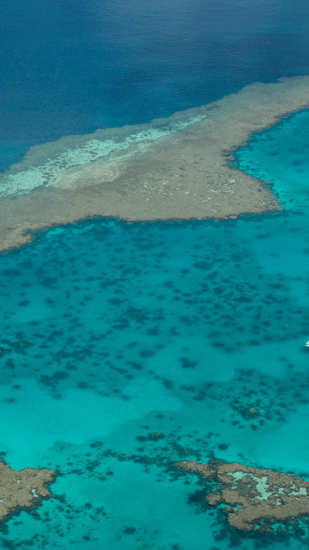 Barriera corallina, Vista aerea, Mare turchese, Oceano, sfondo per tablet