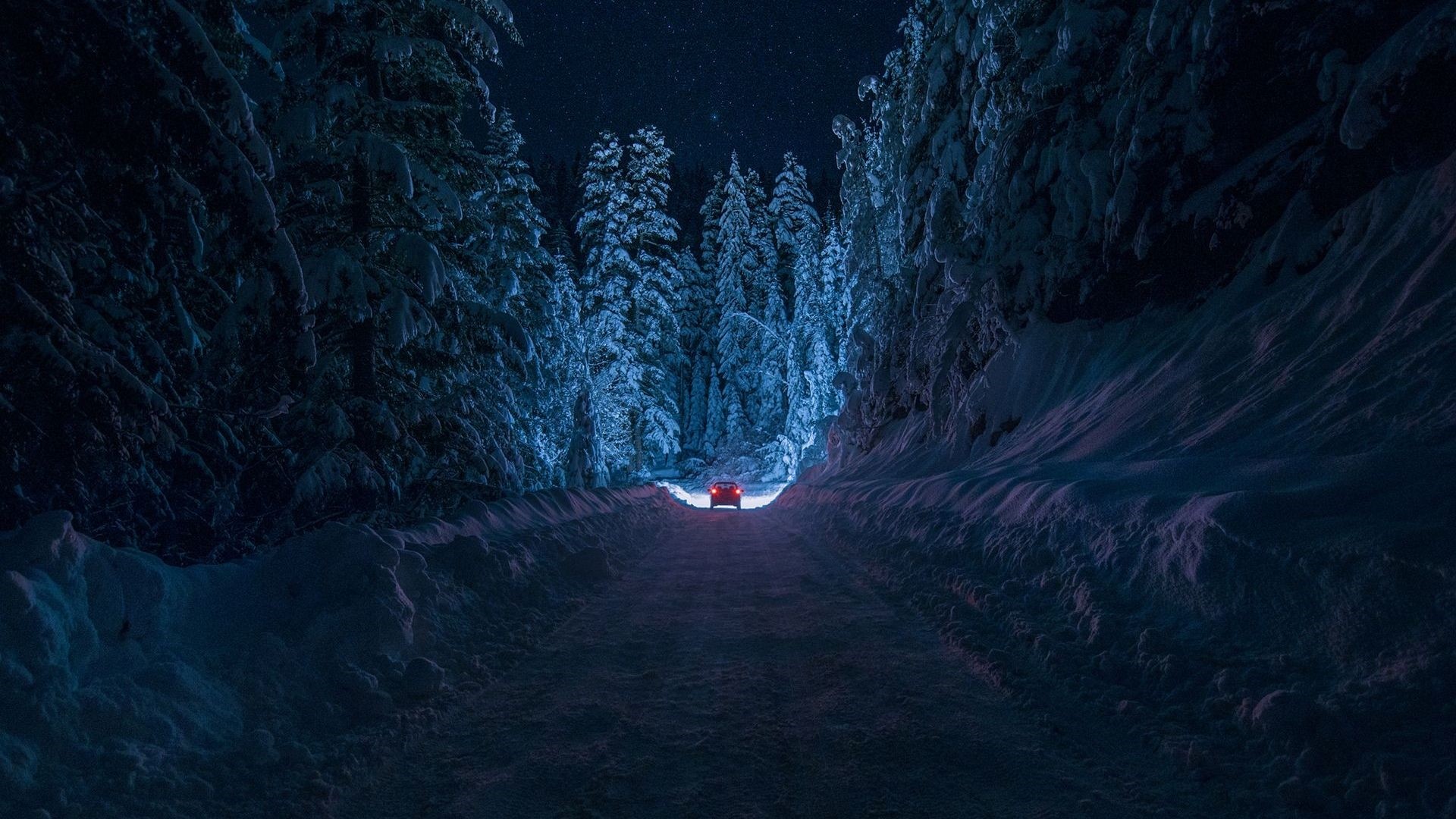 Foresta innevata, Strada, Auto, Notte, Blu, Full HD, wallpaper per PC
