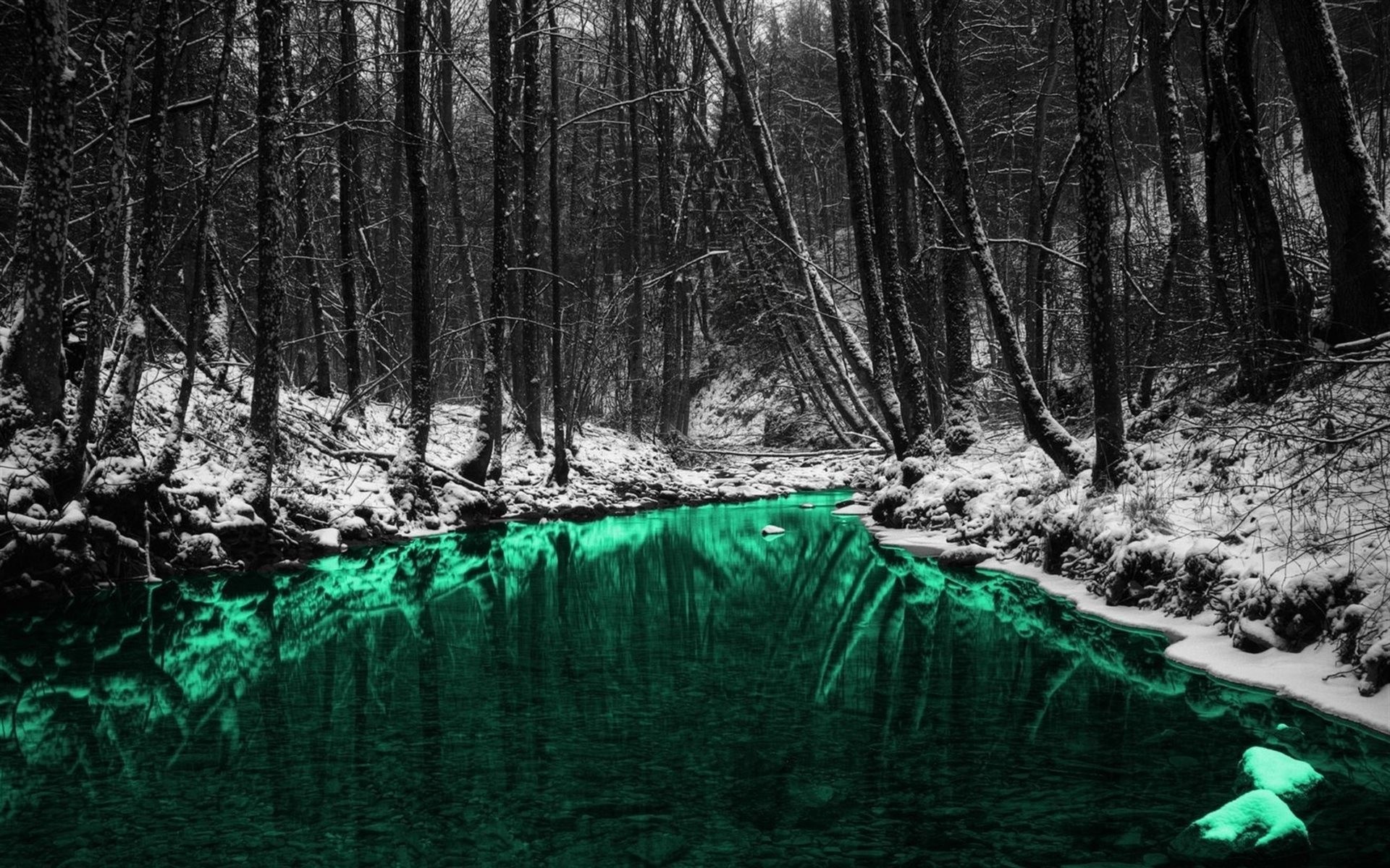 Foresta, Neve, Fiume, Acqua verde, Inverno, 1920x1200, sfondo per PC