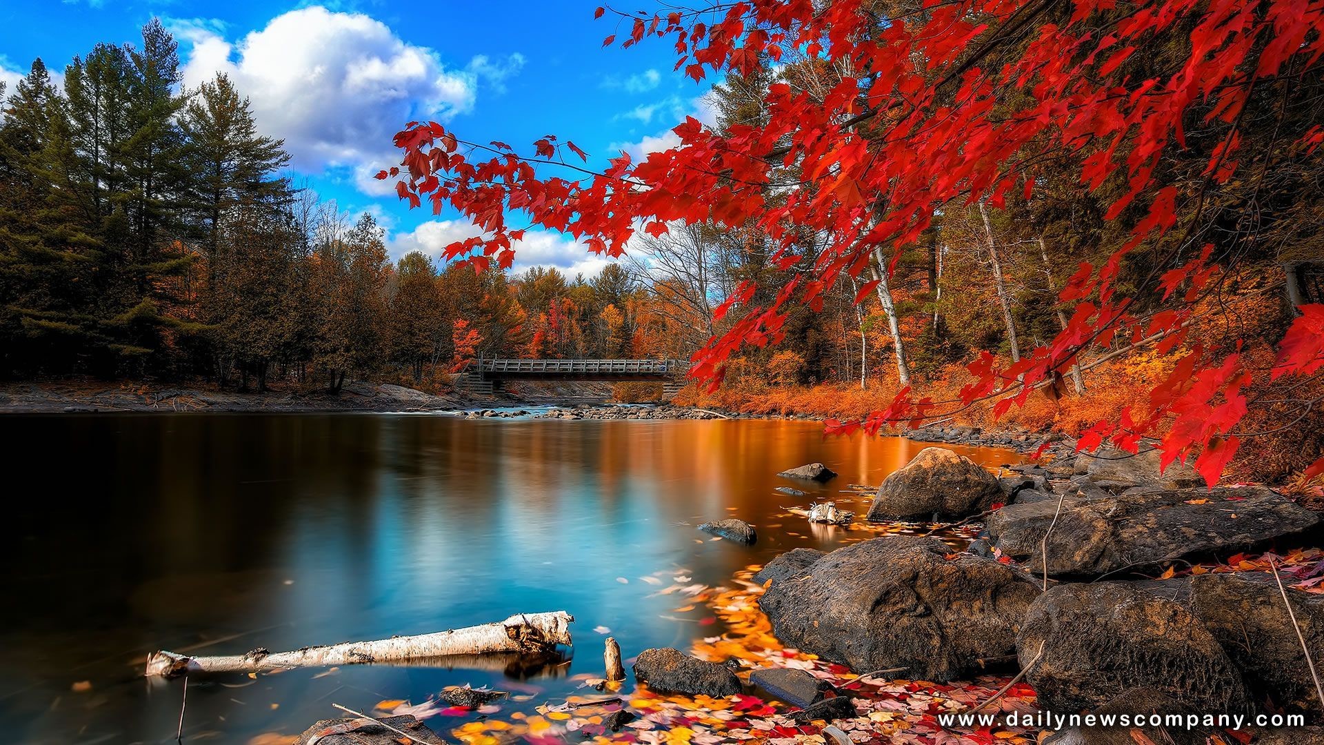 Autunno, Foglie rosse, Lago, Foresta, 1920x1080, immagine di sfondo
