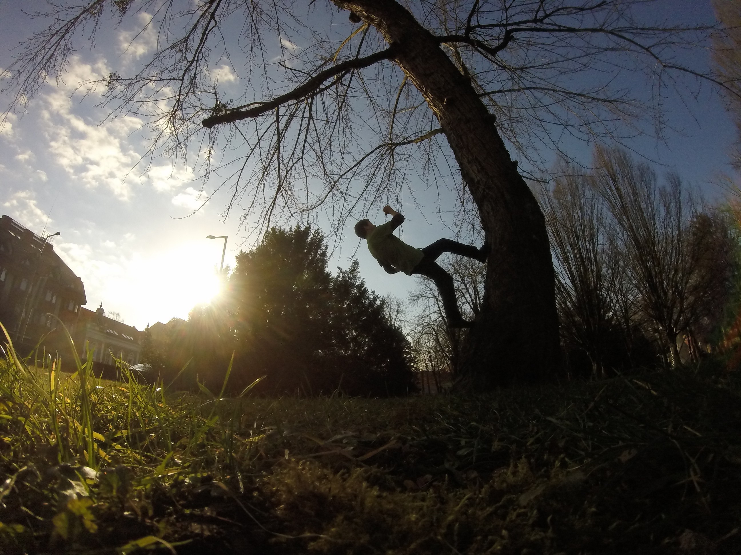 Parkour, Albero, Controluce, Fisheye, 2K, schermata di blocco iPad