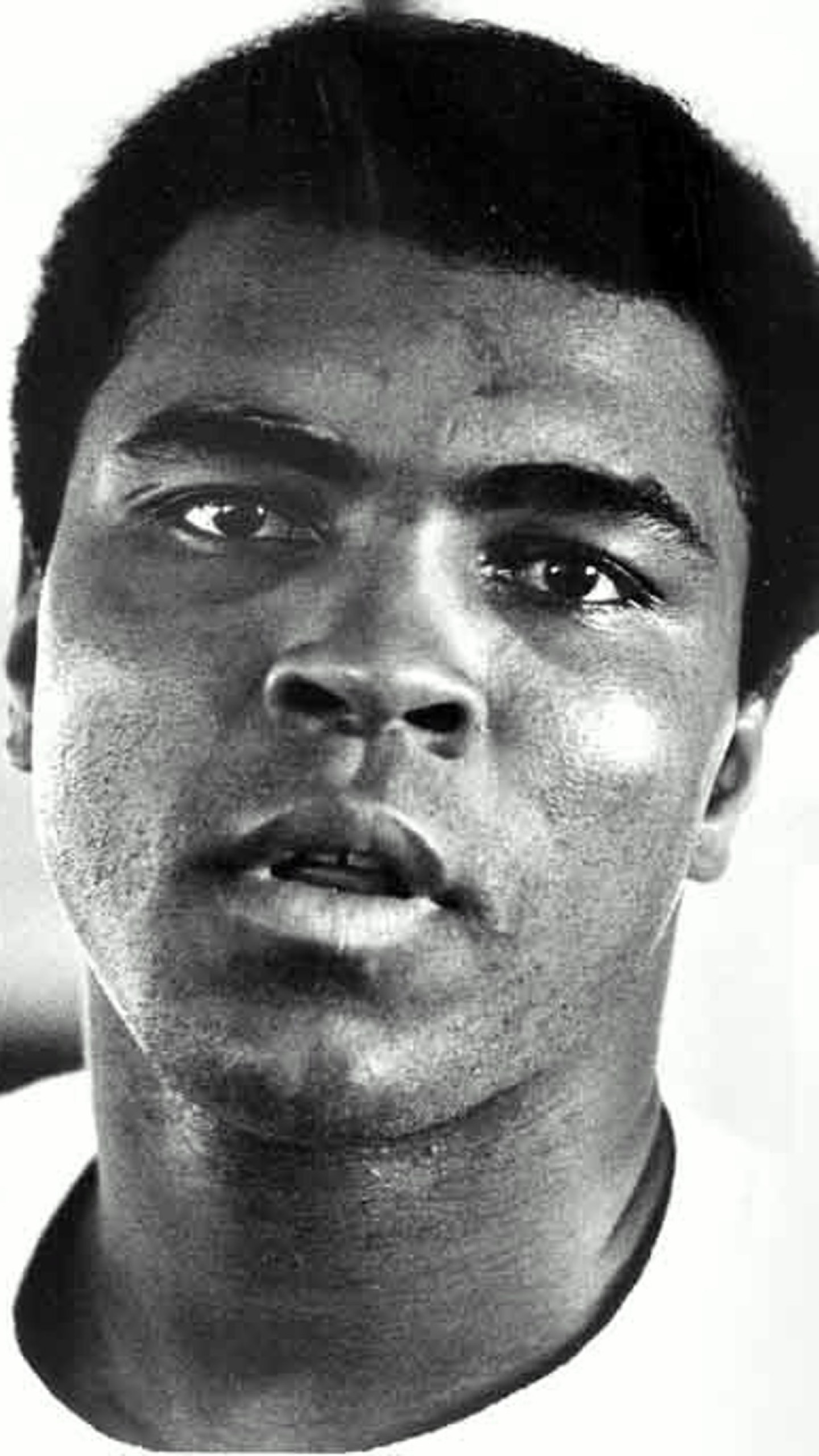 Muhammad Ali, Ritratto, Bianco e nero, QHD+, sfondo per smartphone