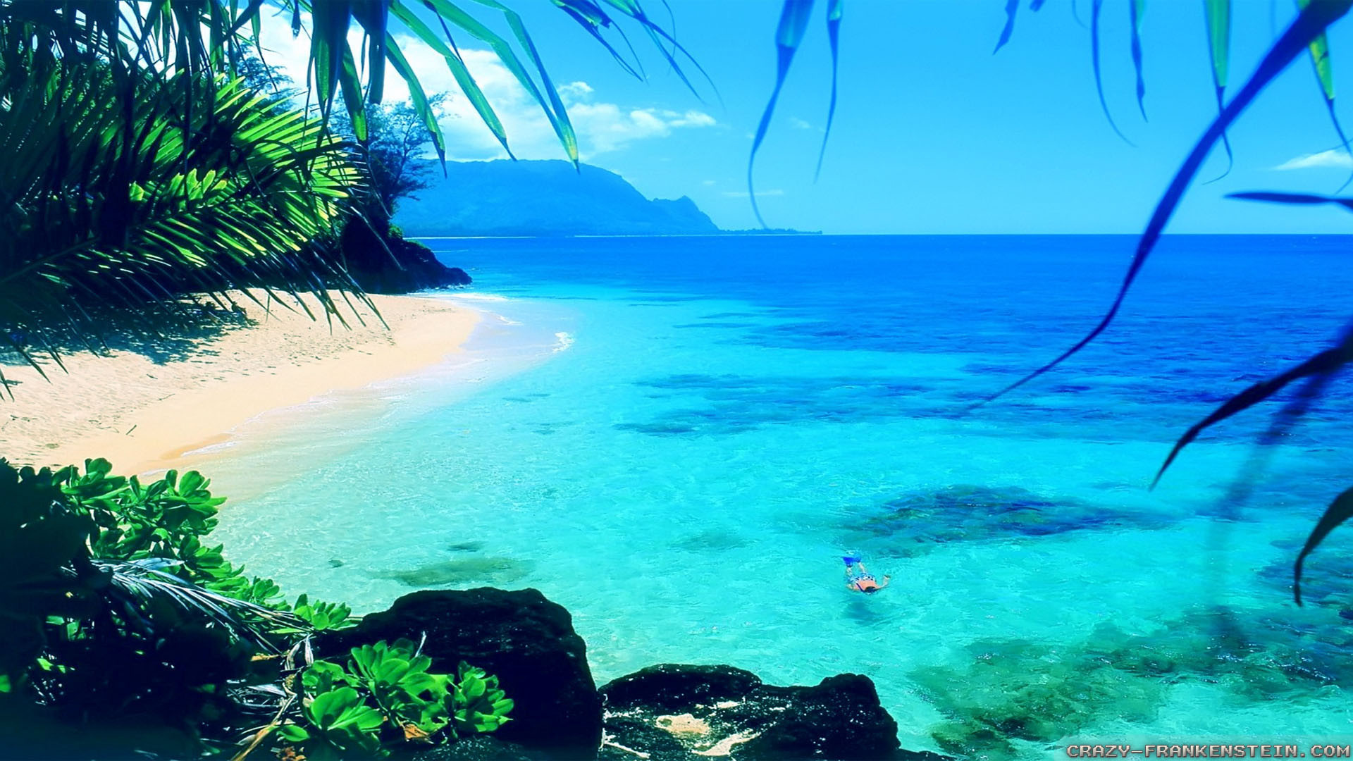Baia tropicale, Mare turchese, Palme, Spiaggia, Full HD, sfondo desktop