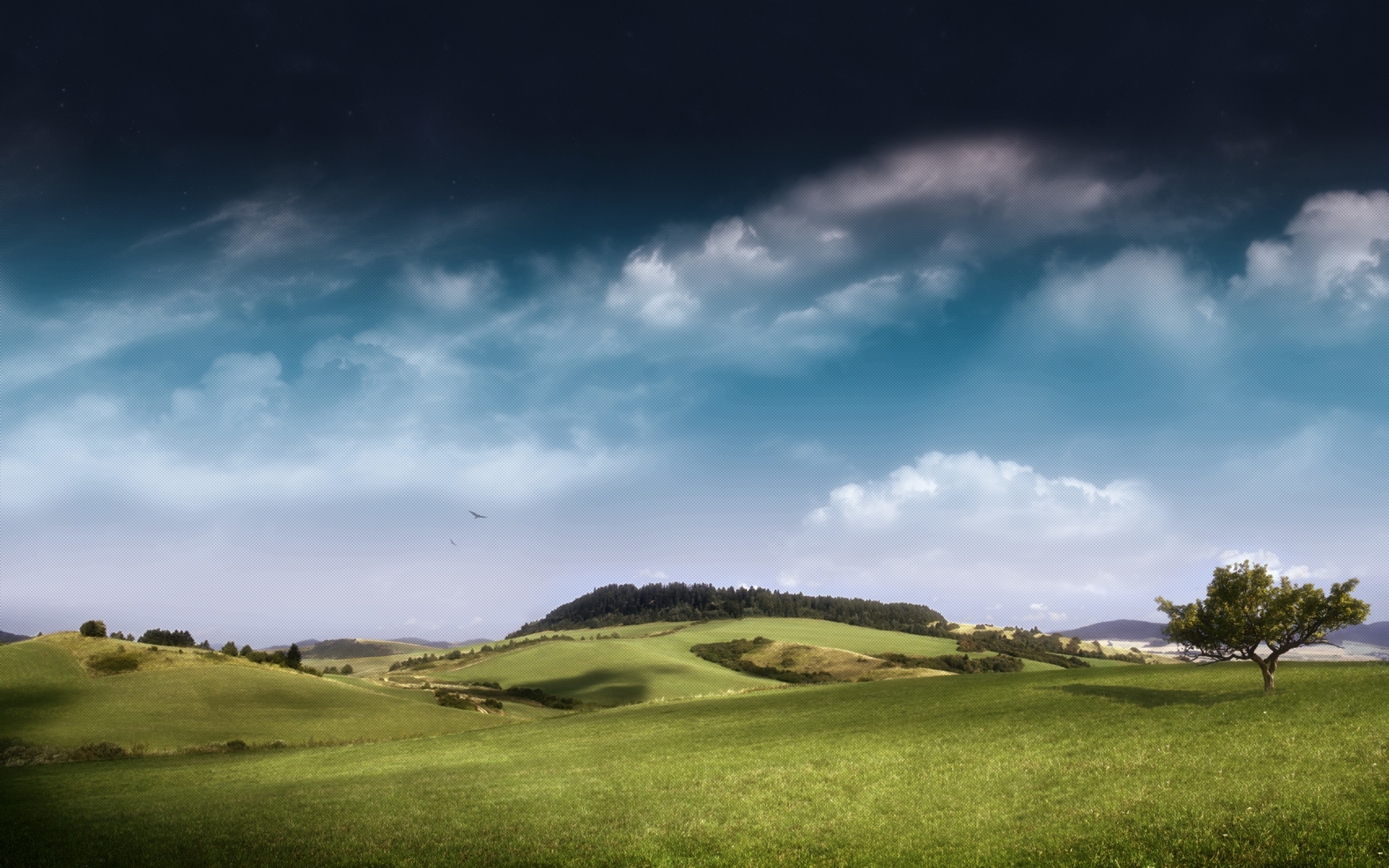 Colline, Prato, Nuvole, Albero, sfondo per Samsung