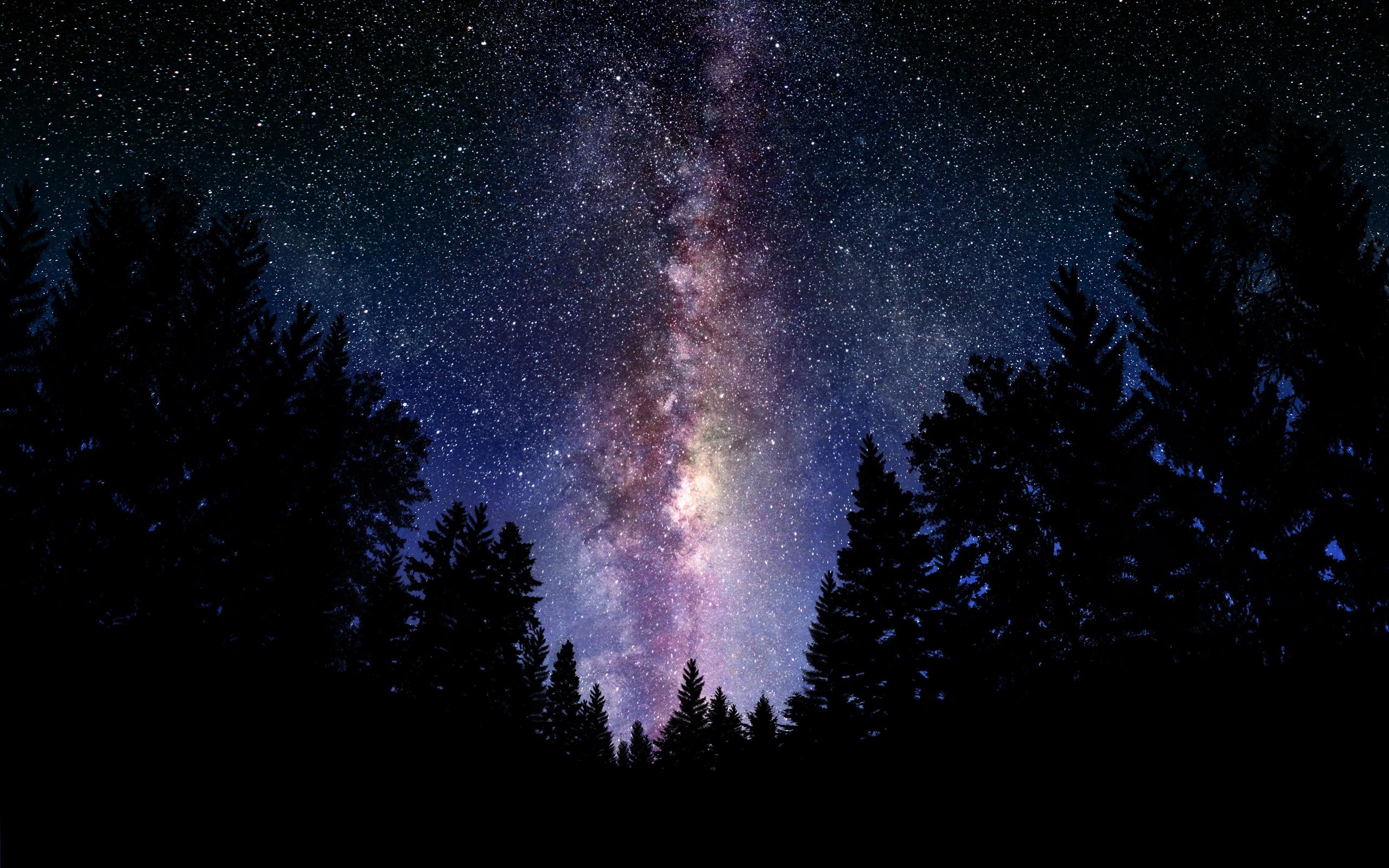 Via Lattea, Bosco, Silhouette di alberi, Cielo stellato, Notte, 2K, sfondo per PC
