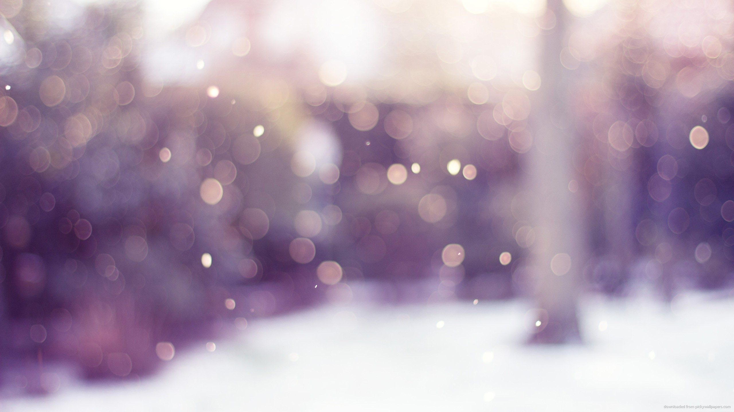 Bokeh, Neve, Inverno, Viola, 2560x1440, immagine di sfondo