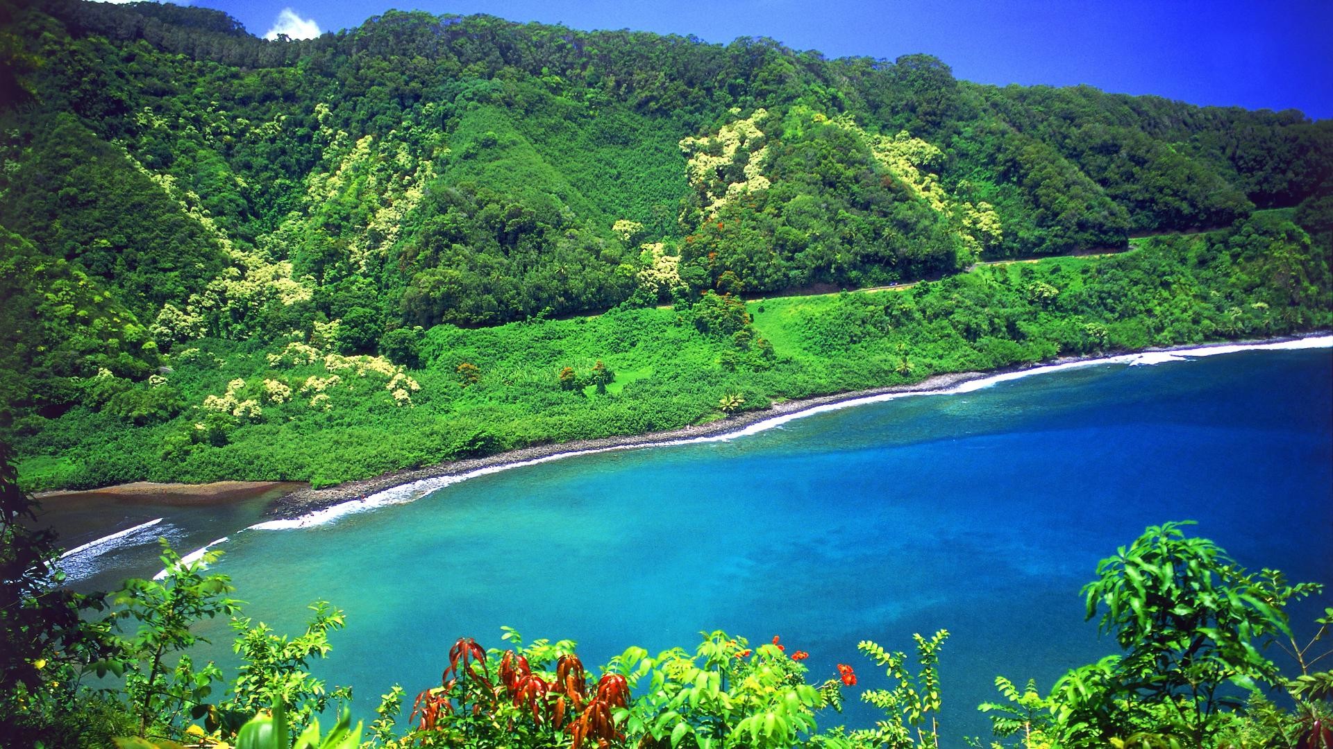 Maui, Hawaii, Baia, Foresta tropicale, Full HD, wallpaper per PC