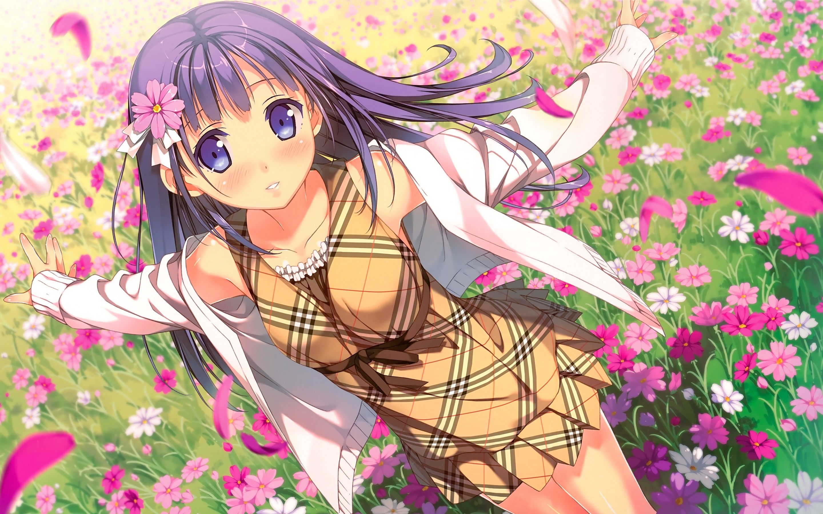 Ragazza anime, Prato fiorito, Petali, Capelli viola, 2K, sfondo per PC e portatile