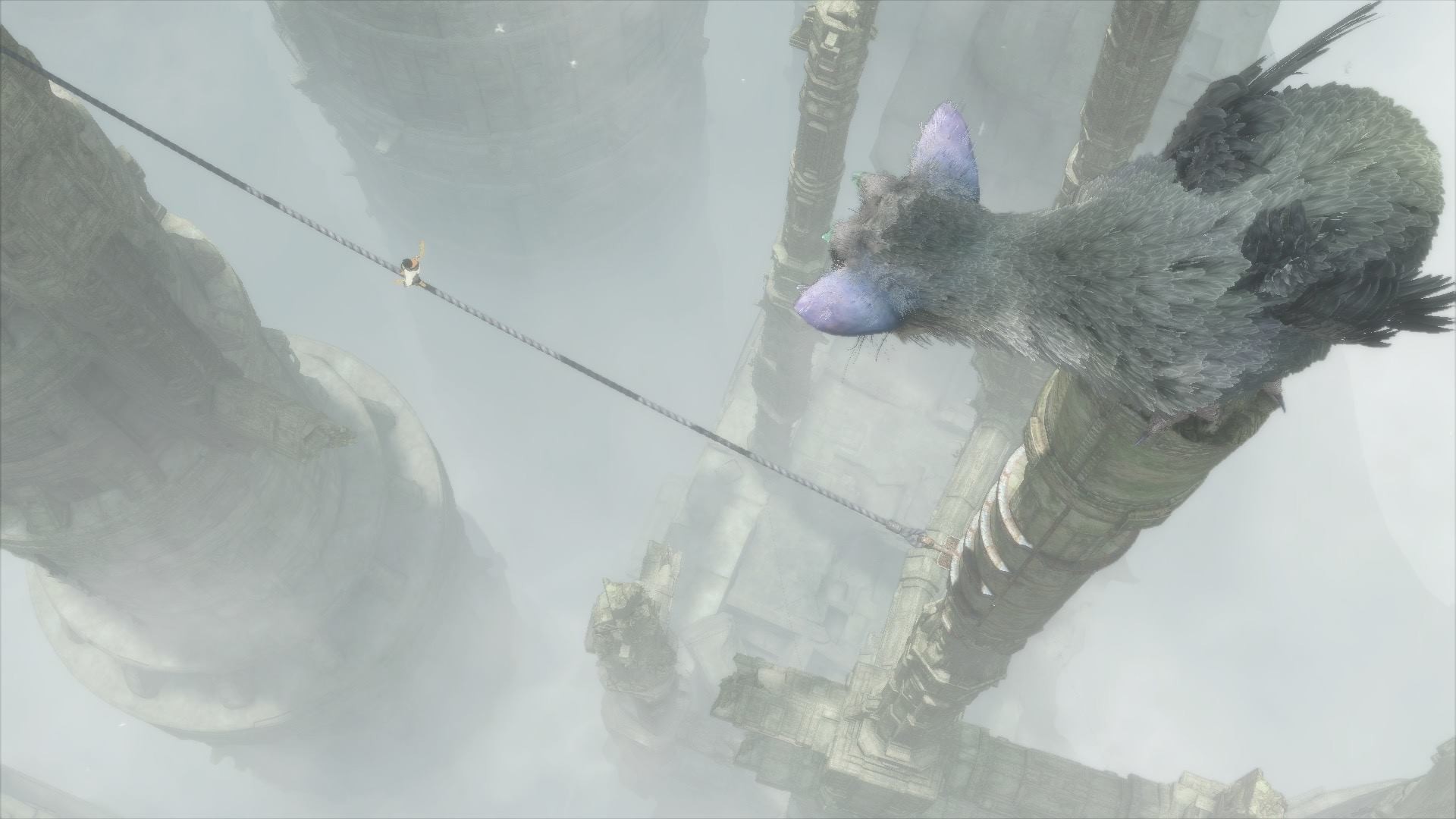 Trico, The Last Guardian, Corda, Nebbia, Full HD, sfondo per portatile