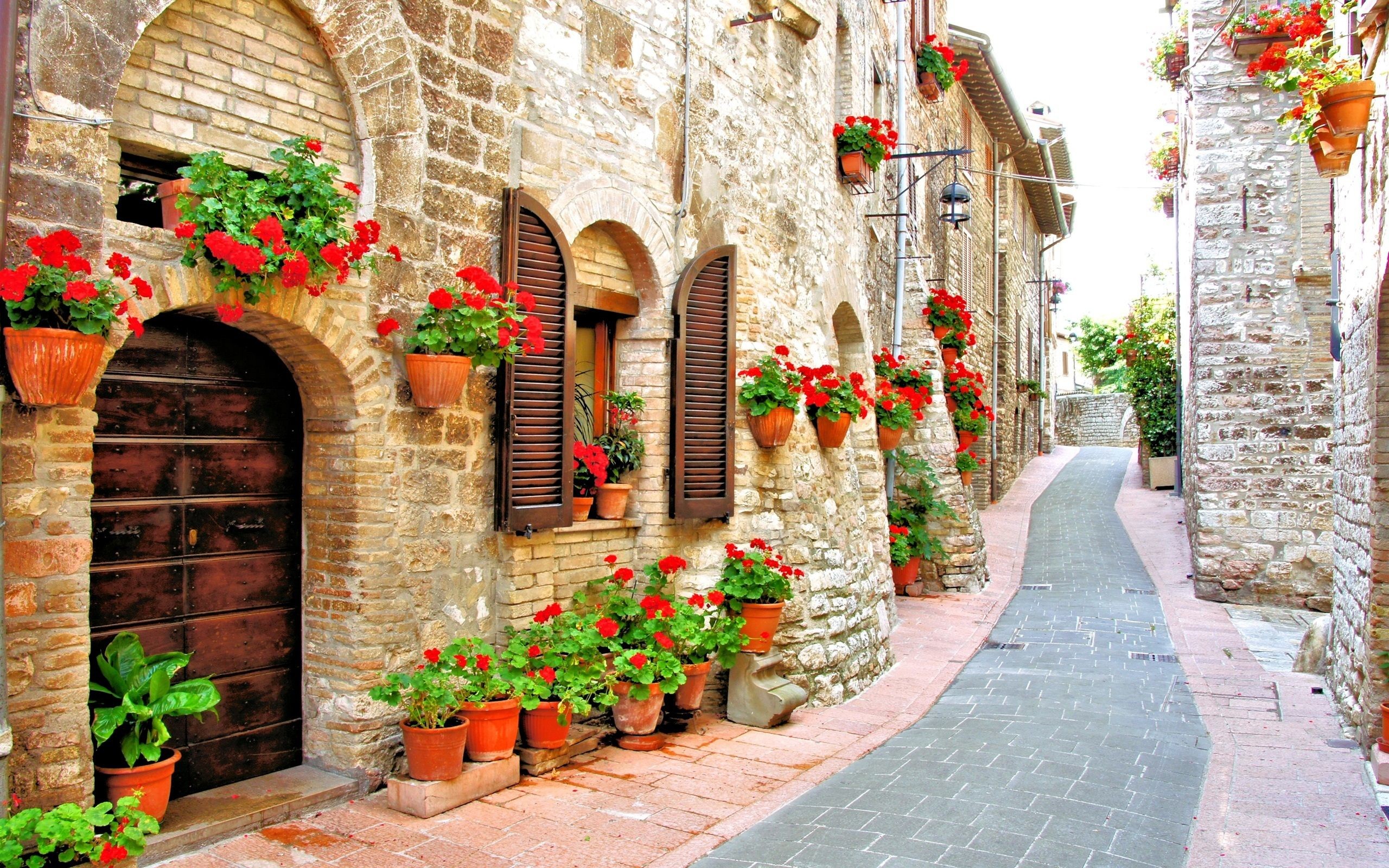 Vicolo, Fiori, Gerani, Borgo medievale, Pietra, 2K, sfondo desktop