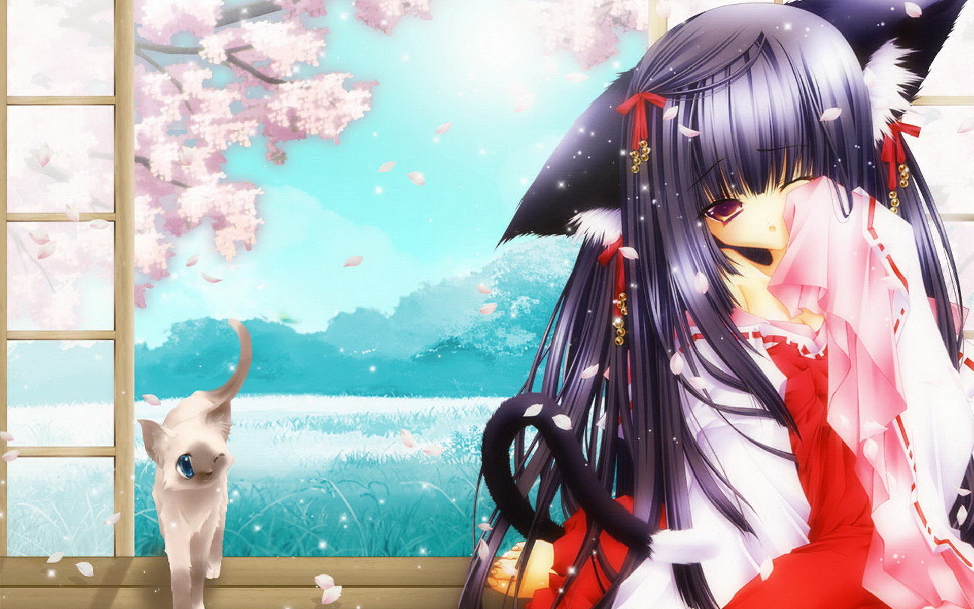 Ragazza anime, Orecchie da gatto, Gatto, Fiori di ciliegio, Finestra, sfondo 16:10 Full HD