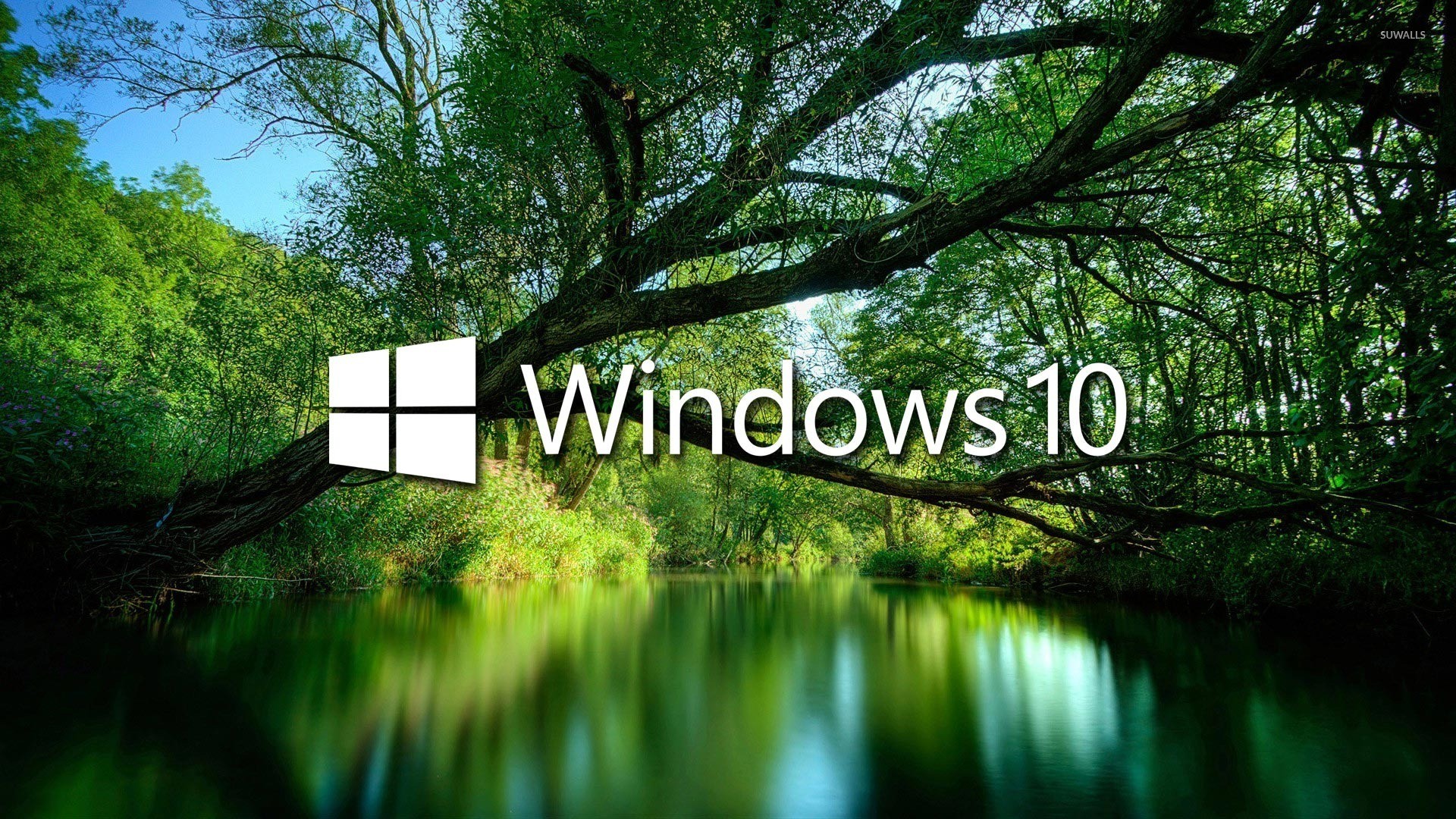 Windows 10, Logo Windows, Foresta, Lago, Verde, 1920x1080, immagine di sfondo
