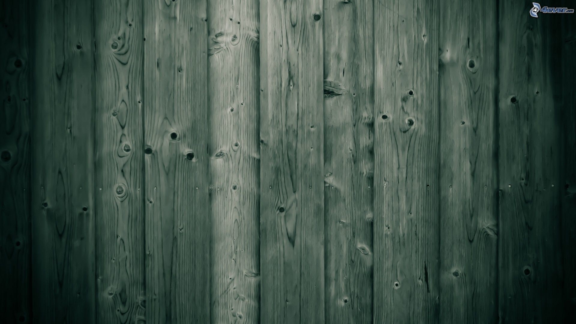 Legno verde, Assi verticali, Nodi, 1920x1080, immagine di sfondo