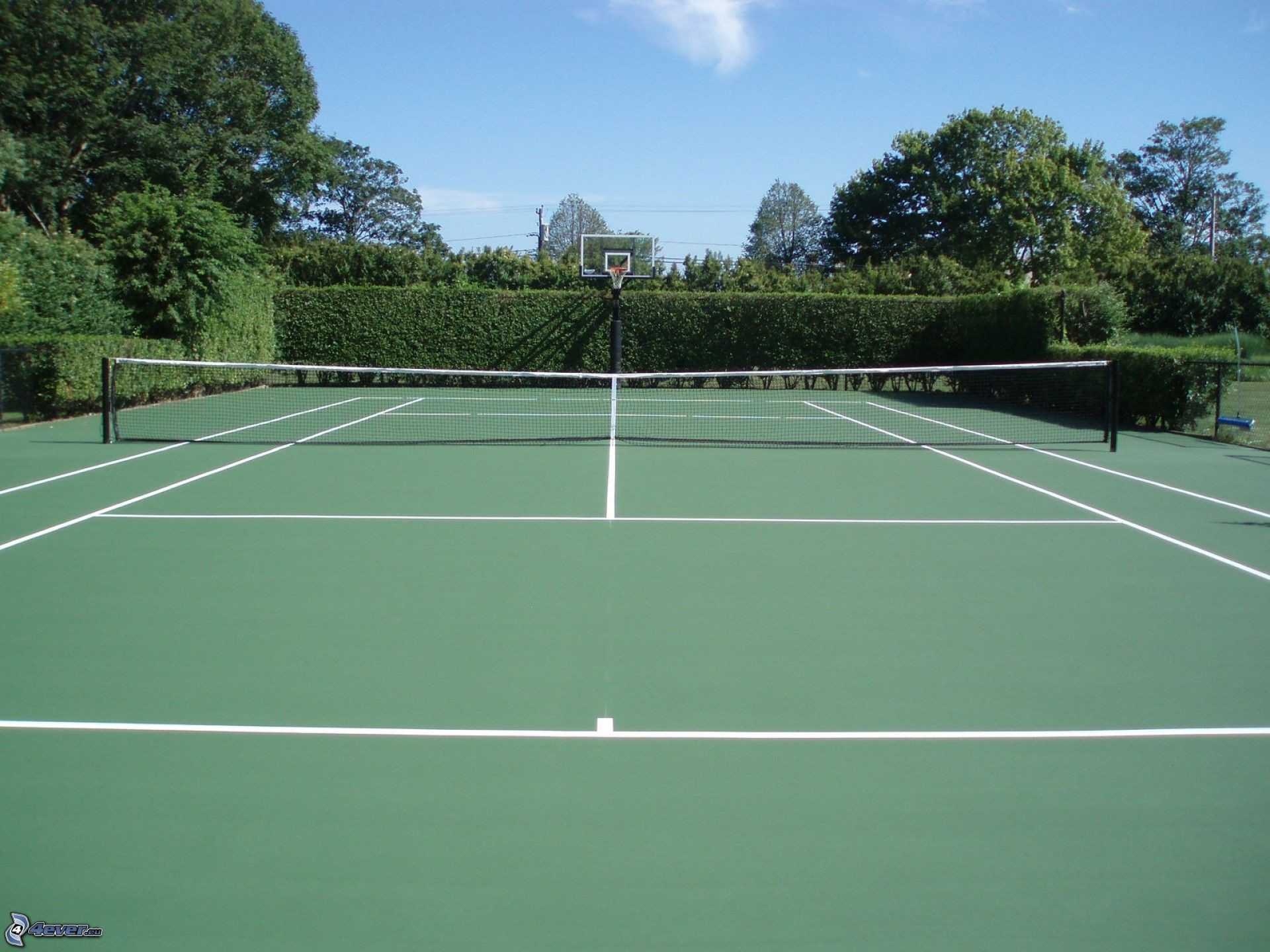 Campo da tennis, Rete, Alberi, Cielo azzurro, Full HD, schermata di blocco iPad