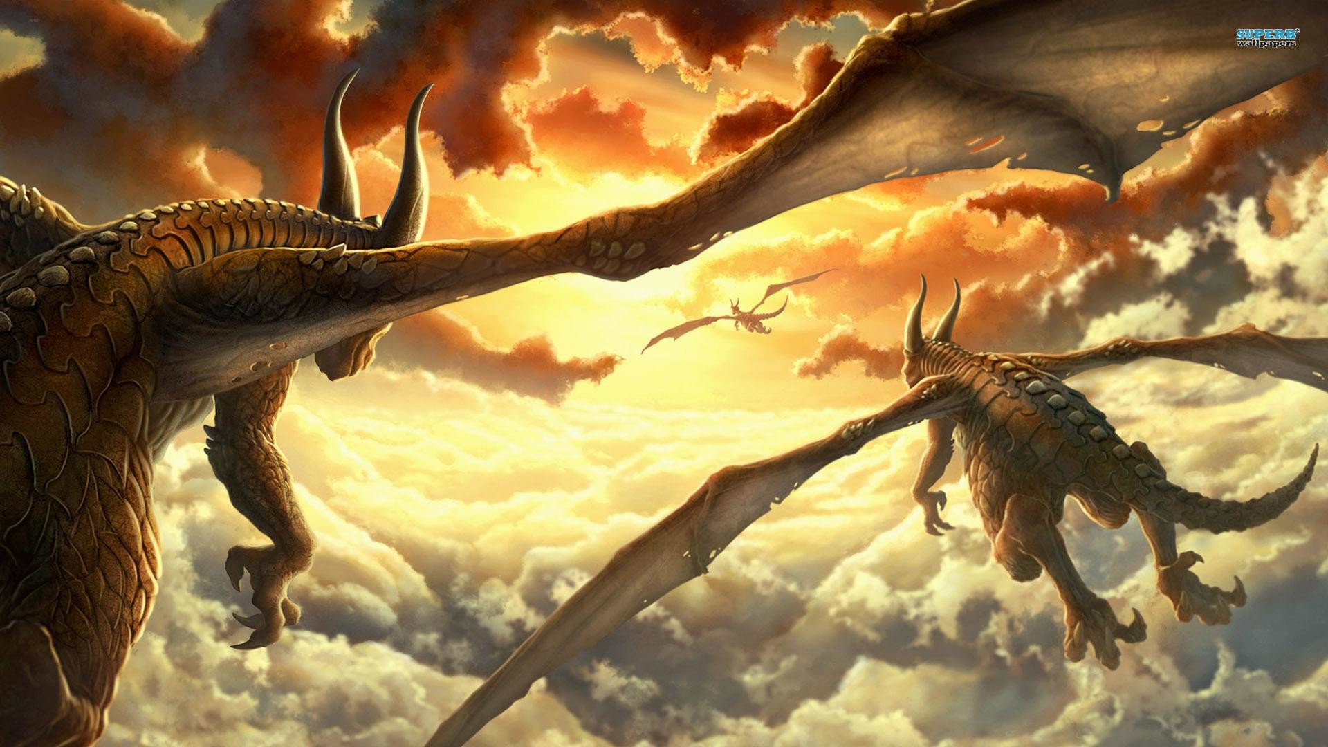 Draghi, Volo, Nuvole, Tramonto, Full HD, sfondo desktop