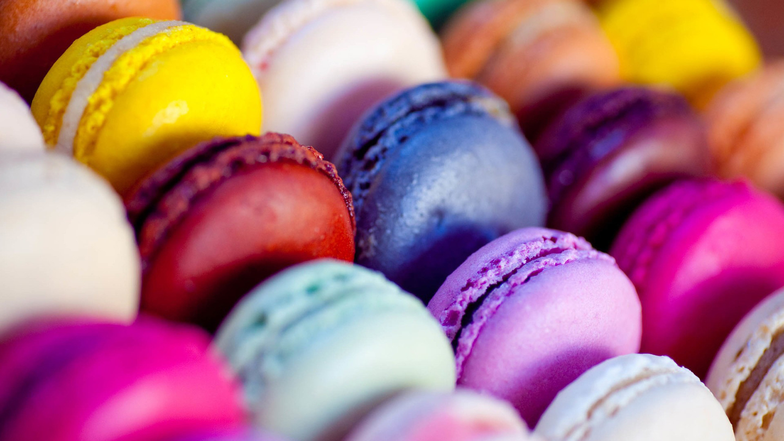 Macarons, Colorati, Primo piano, Viola, 2560x1440, sfondo per PC